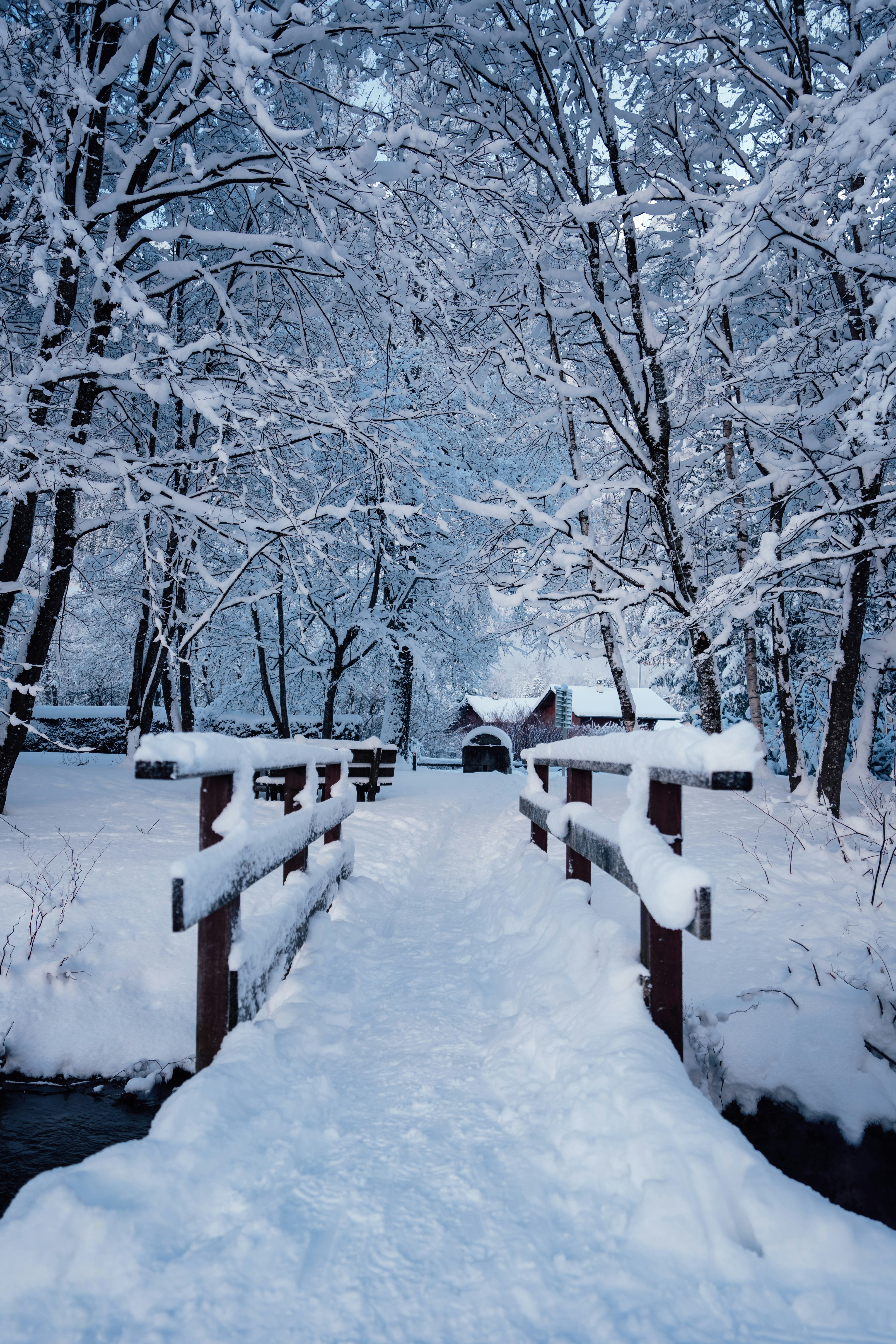 Photo by benjamin_photo_lab