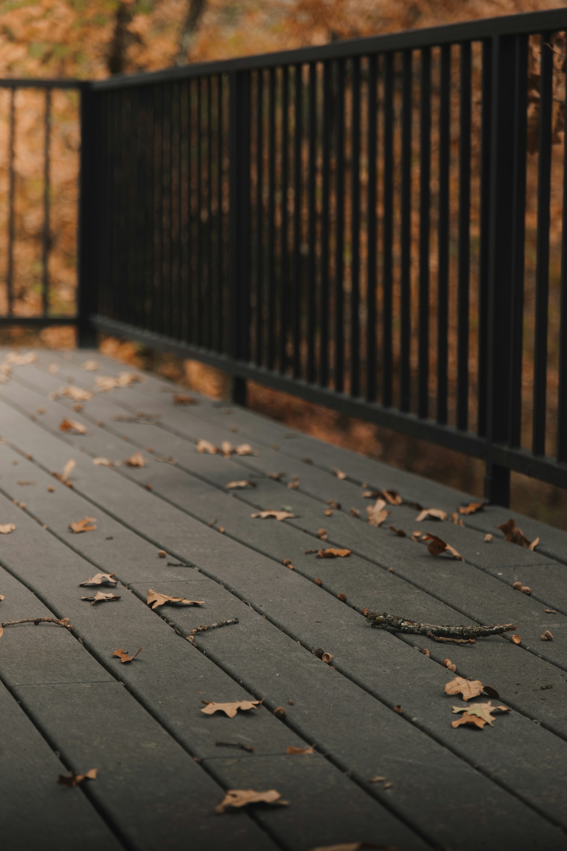 A dog standing on a deck with leaves on the ground