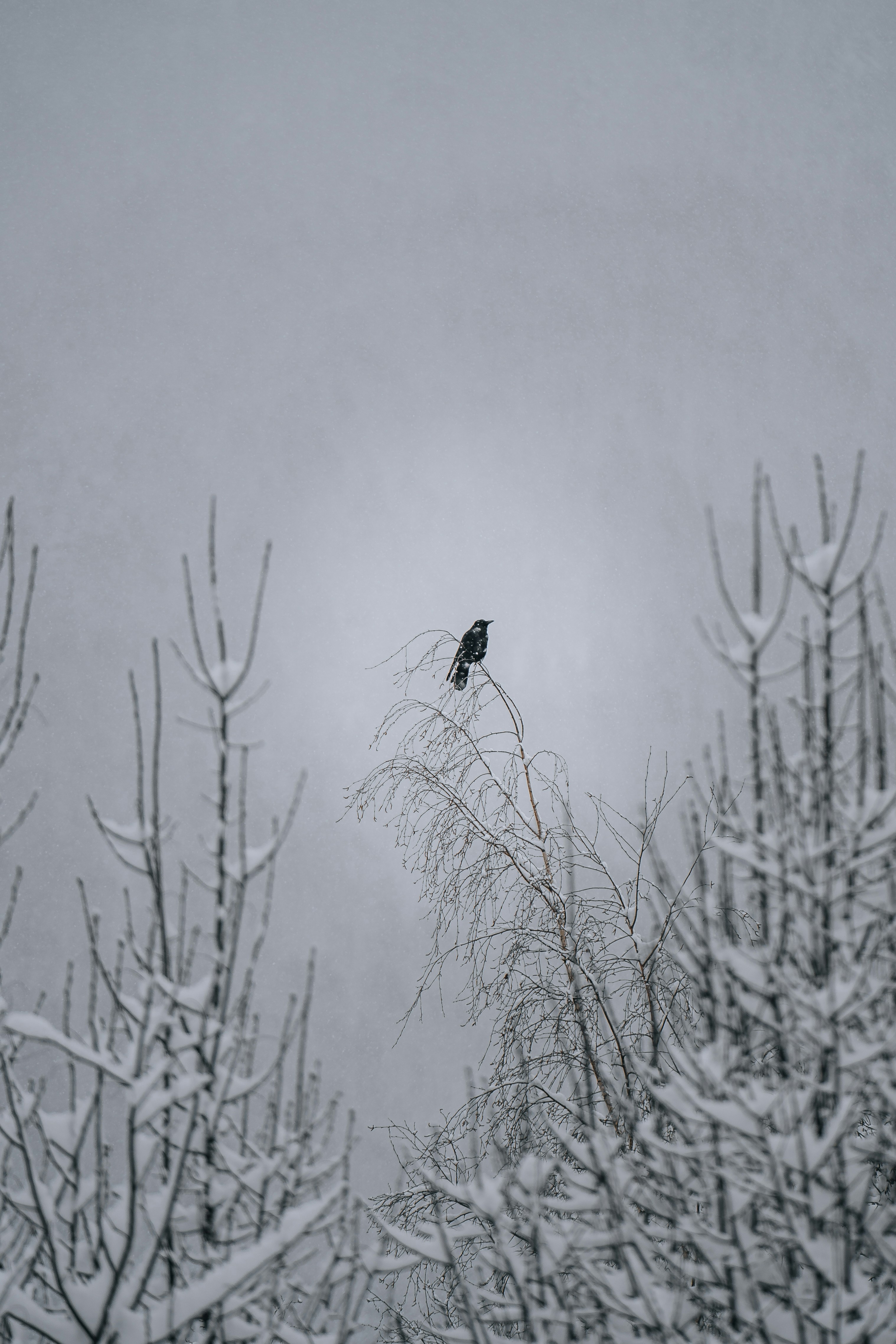 Photo by benjamin_photo_lab