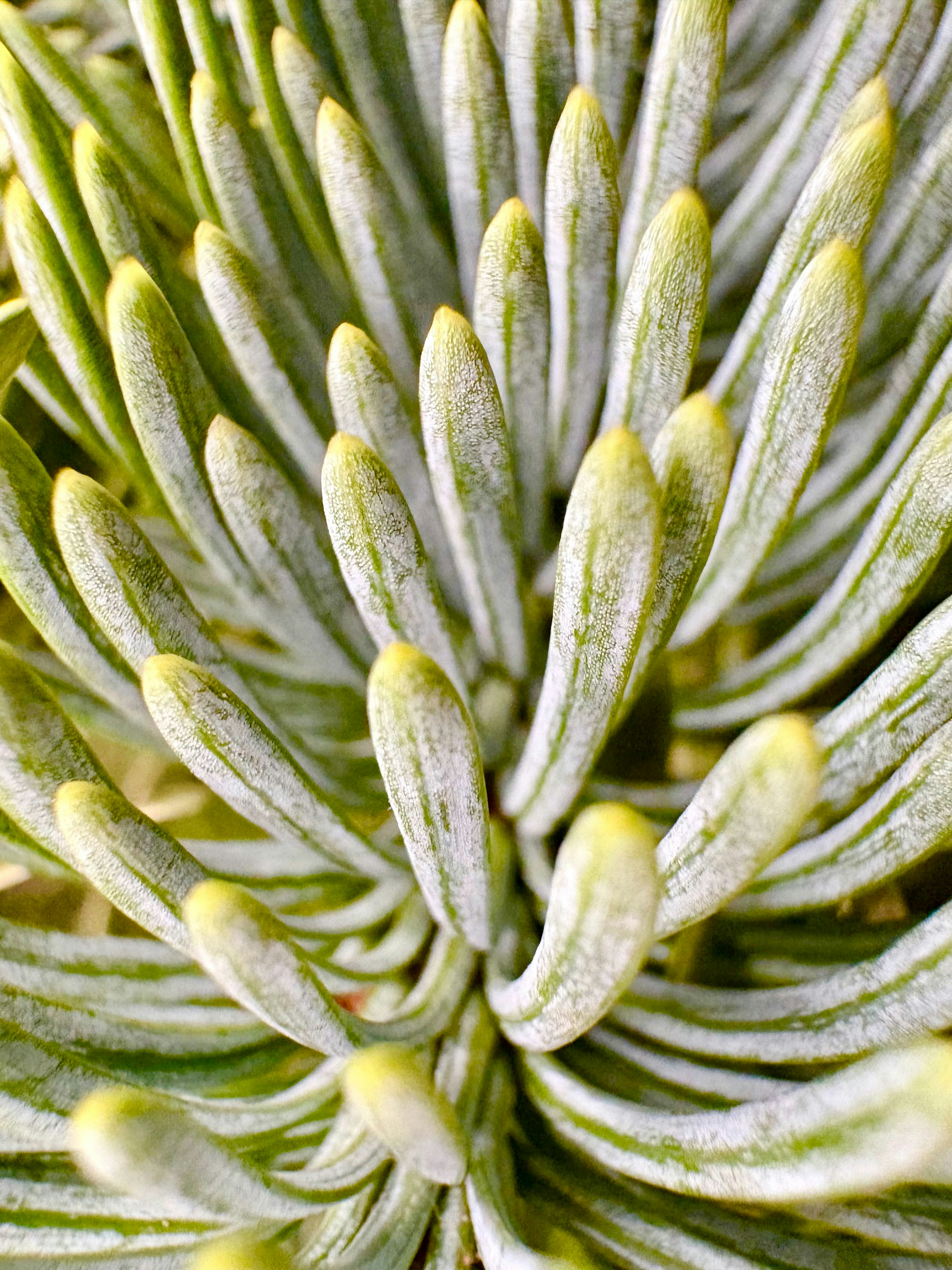 Photo by tashakostyuk