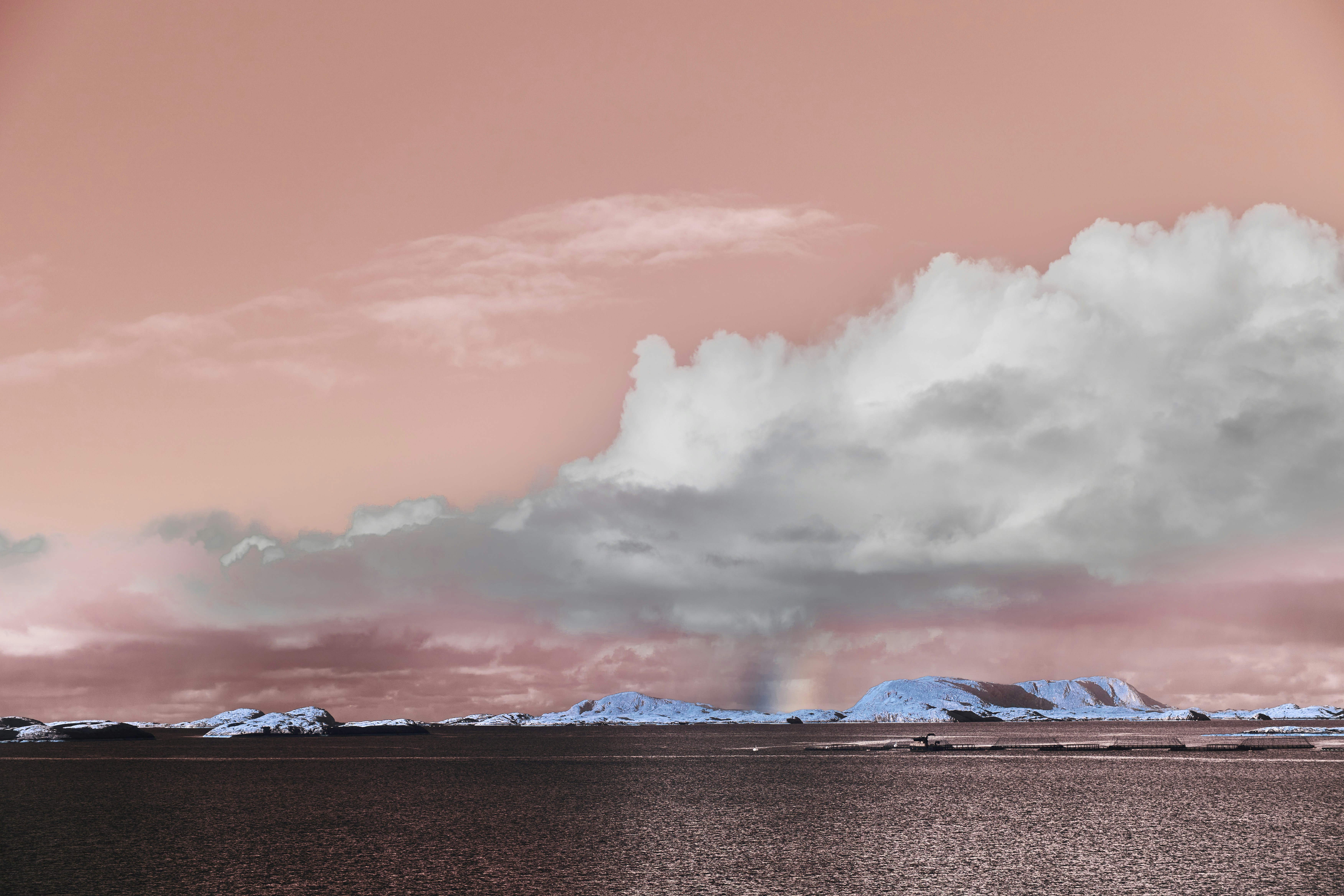 Photo by wolfgang_hasselmann