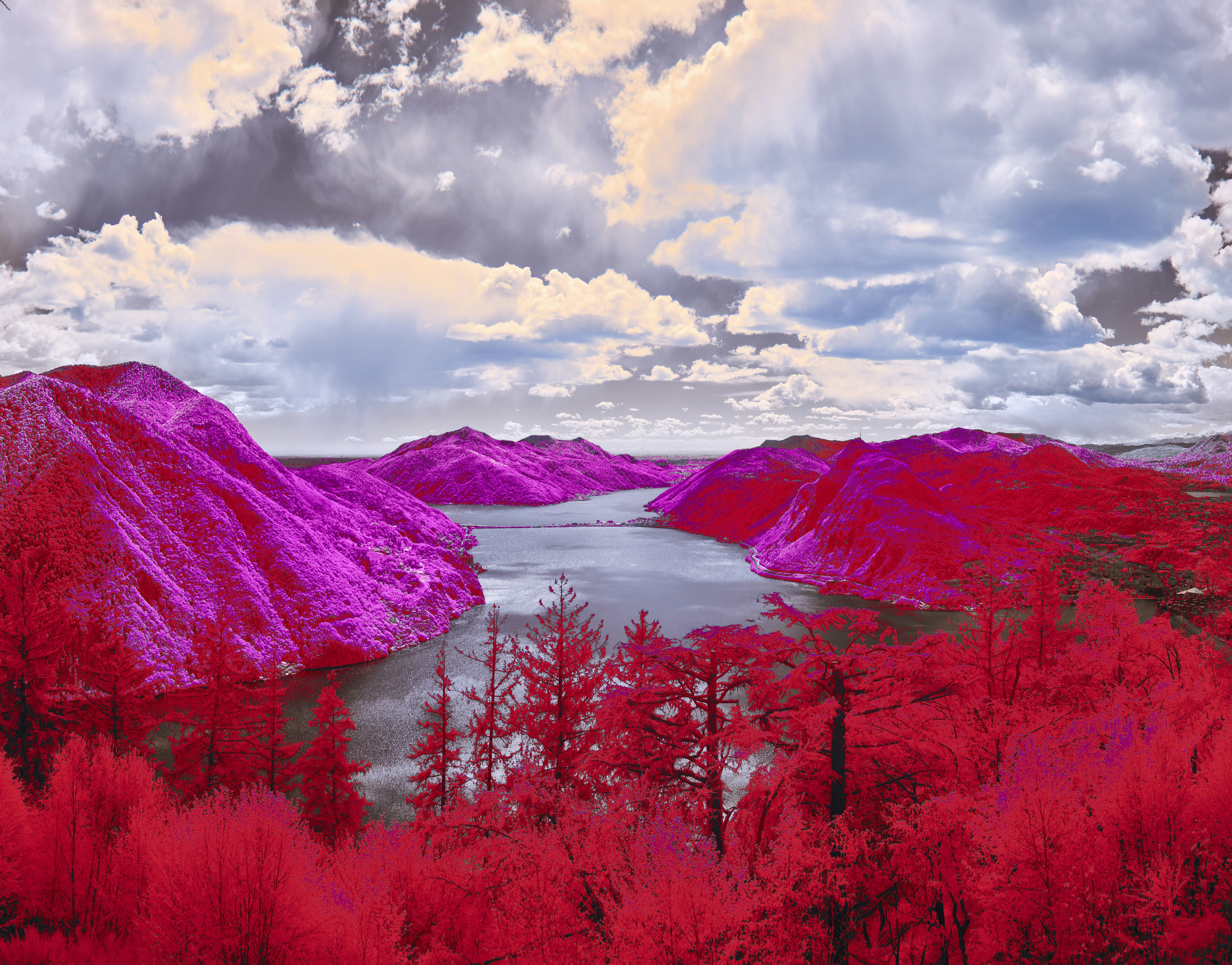 Photo by wolfgang_hasselmann