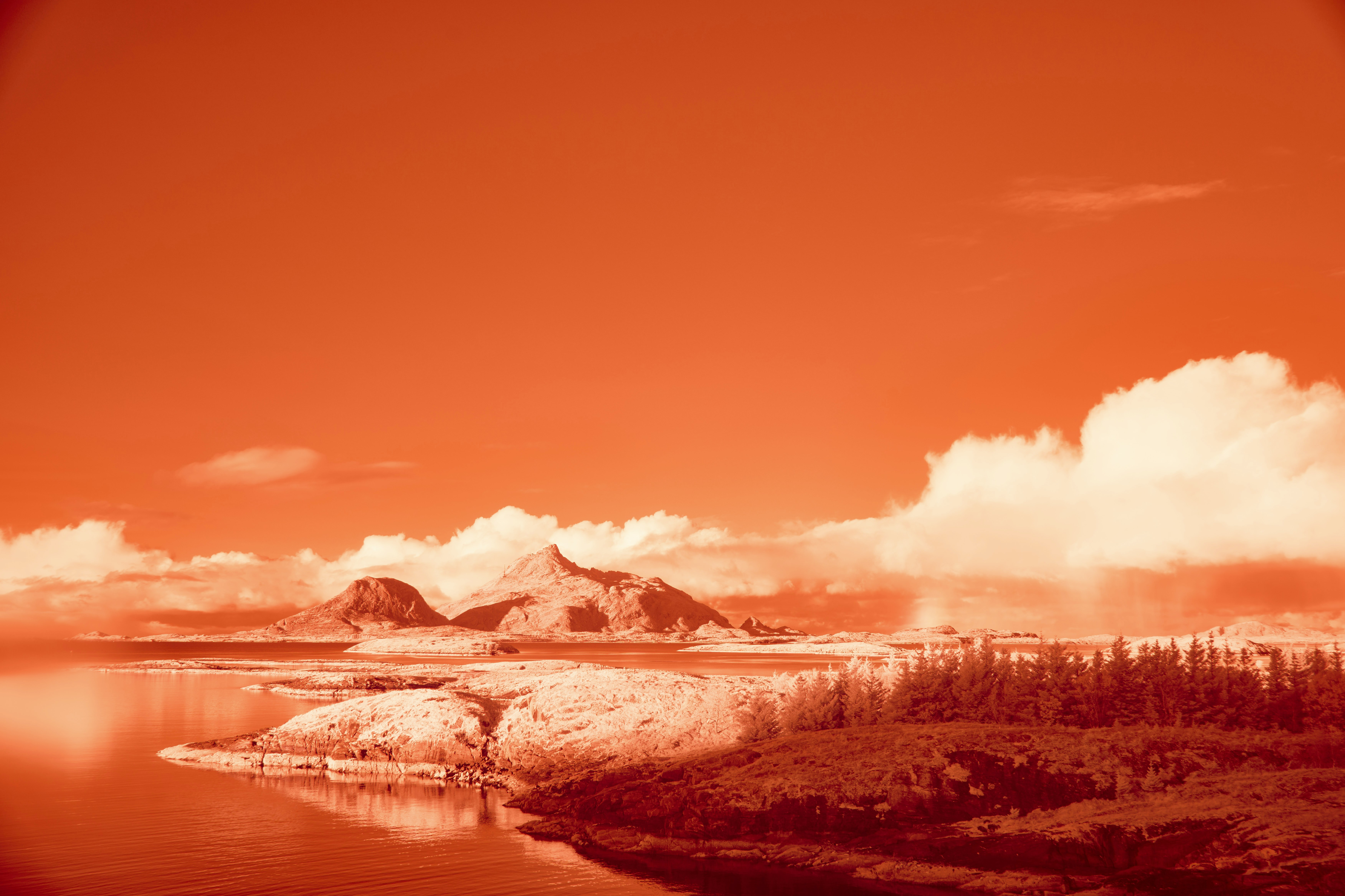 Photo by wolfgang_hasselmann