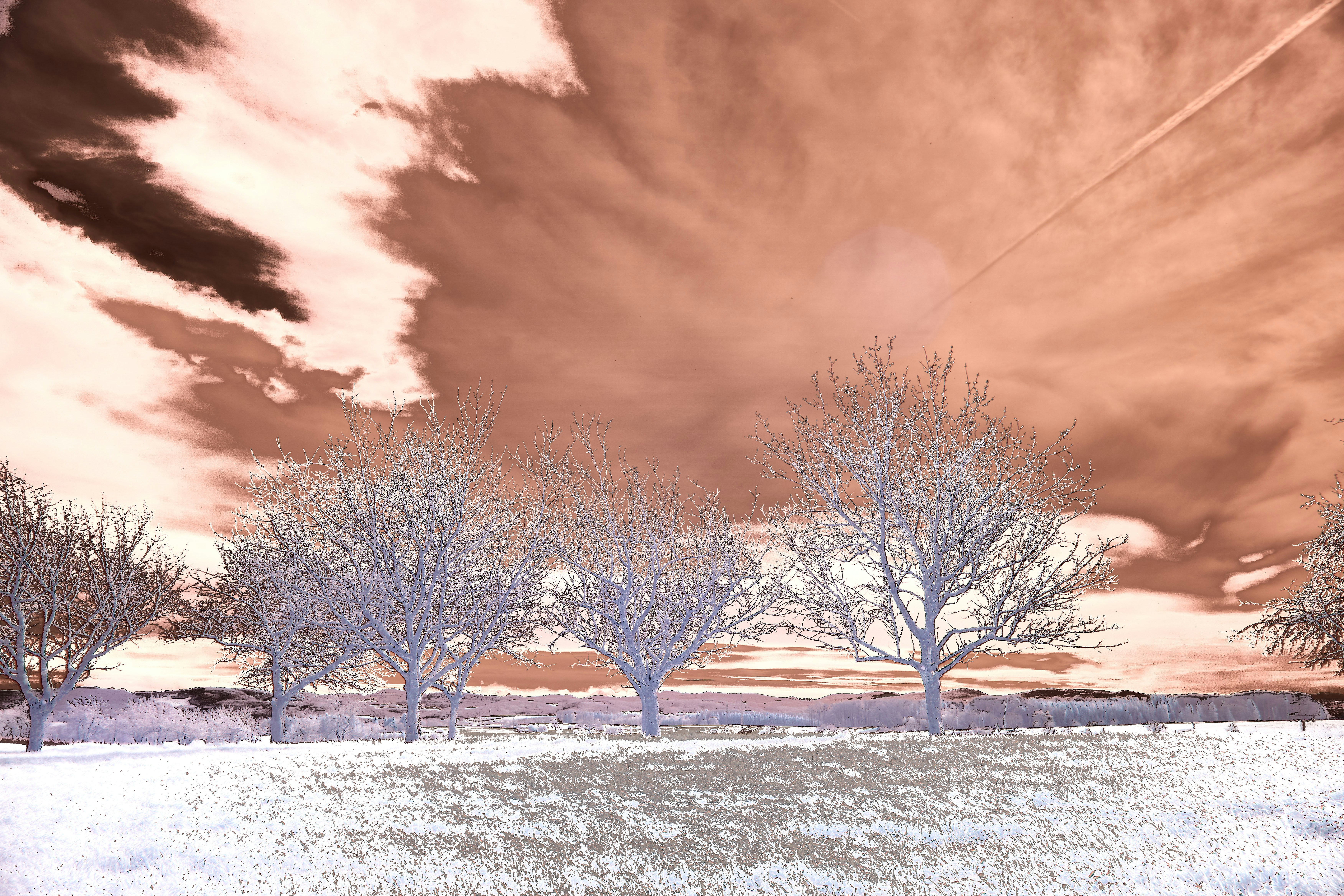 Photo by wolfgang_hasselmann