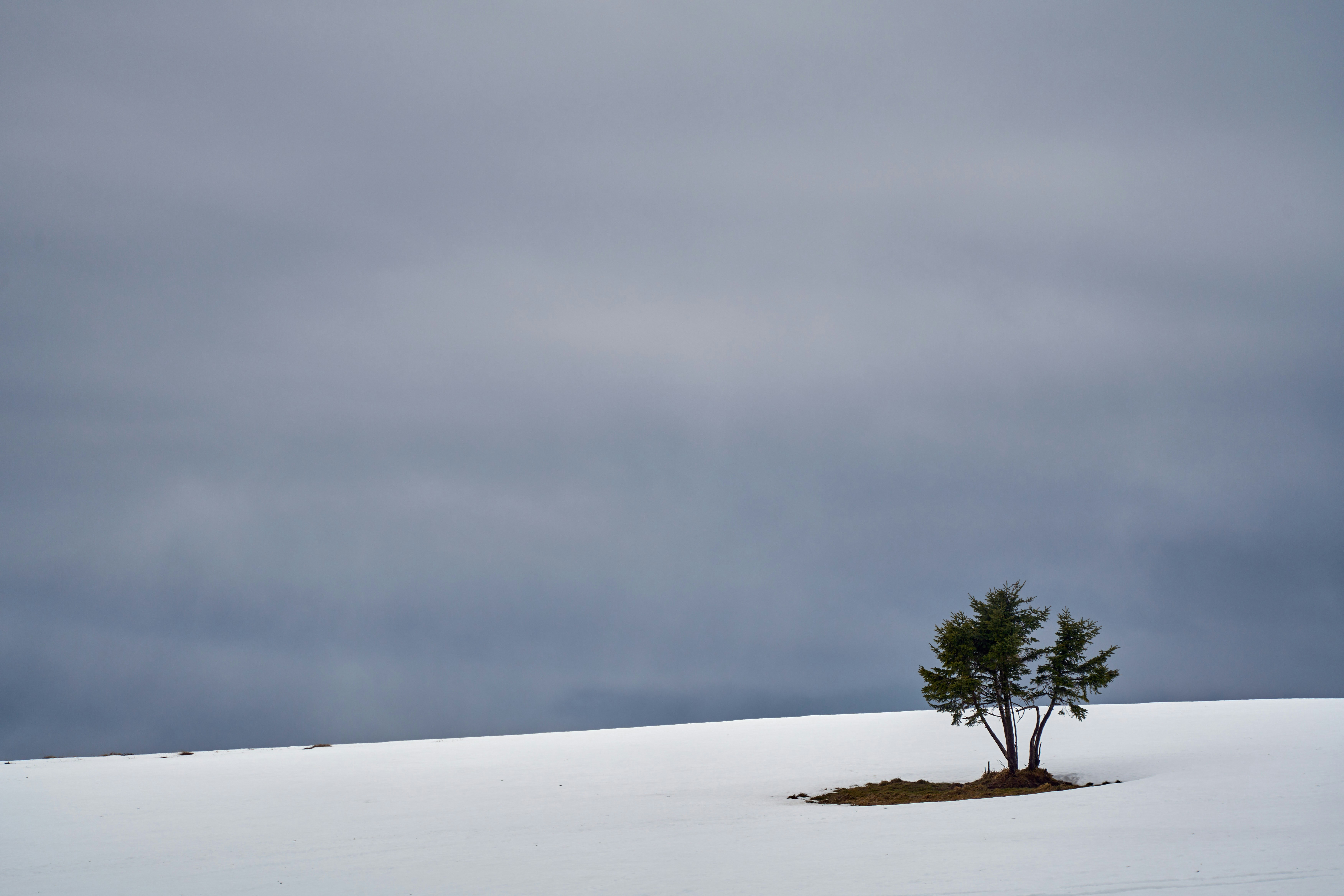 Photo by wolfgang_hasselmann