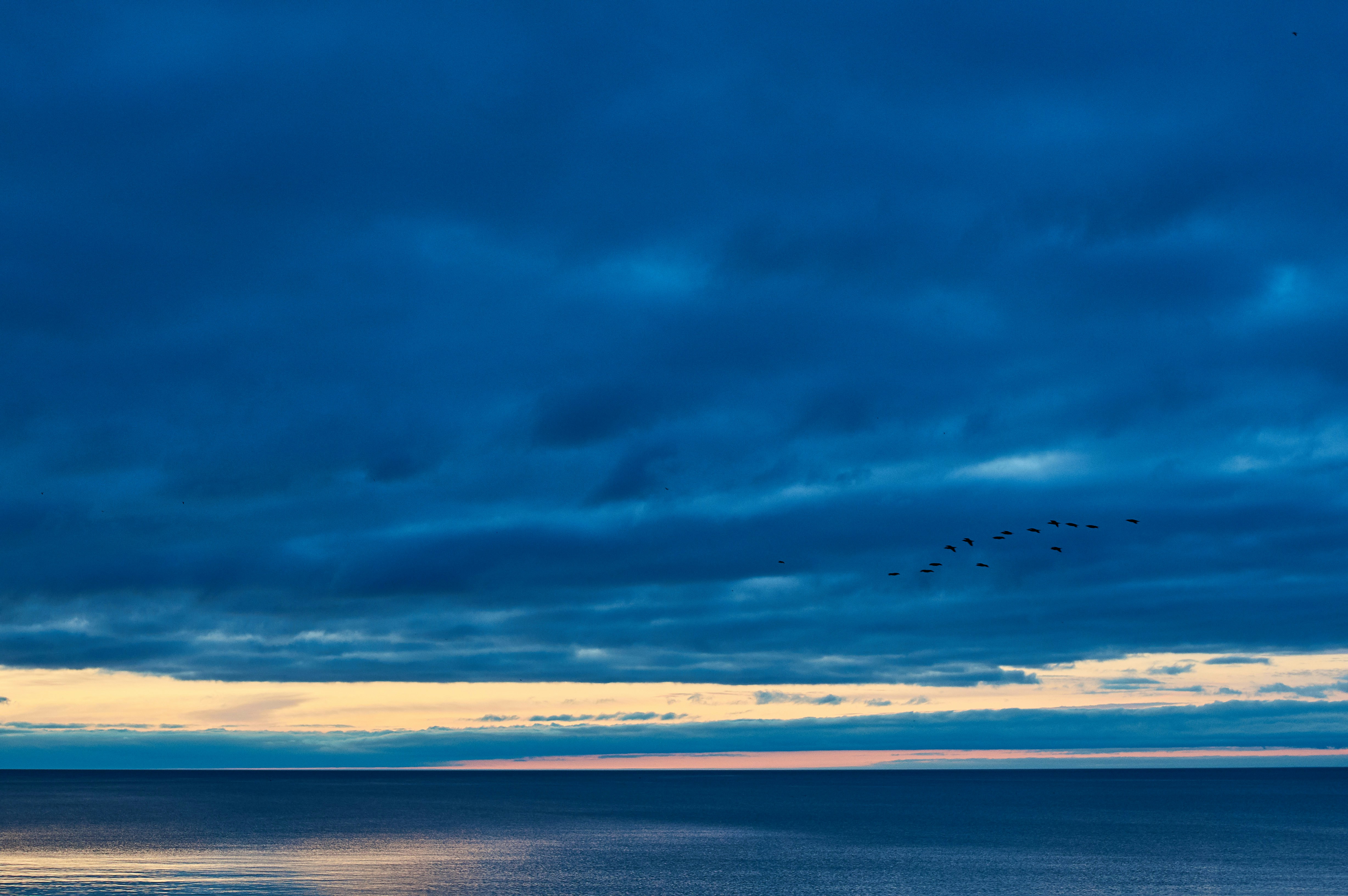 Photo by wolfgang_hasselmann