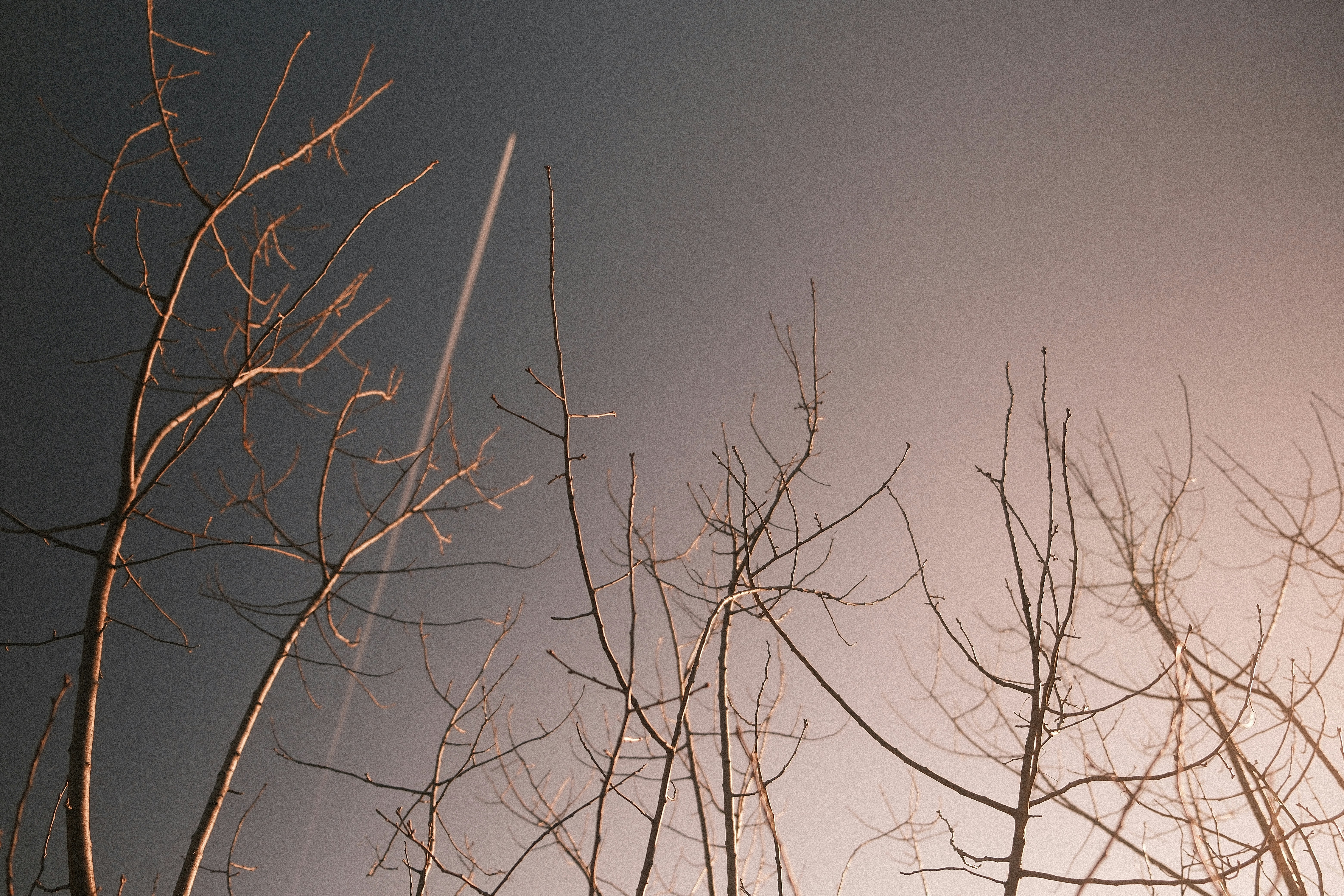 Photo by tufisalexandru