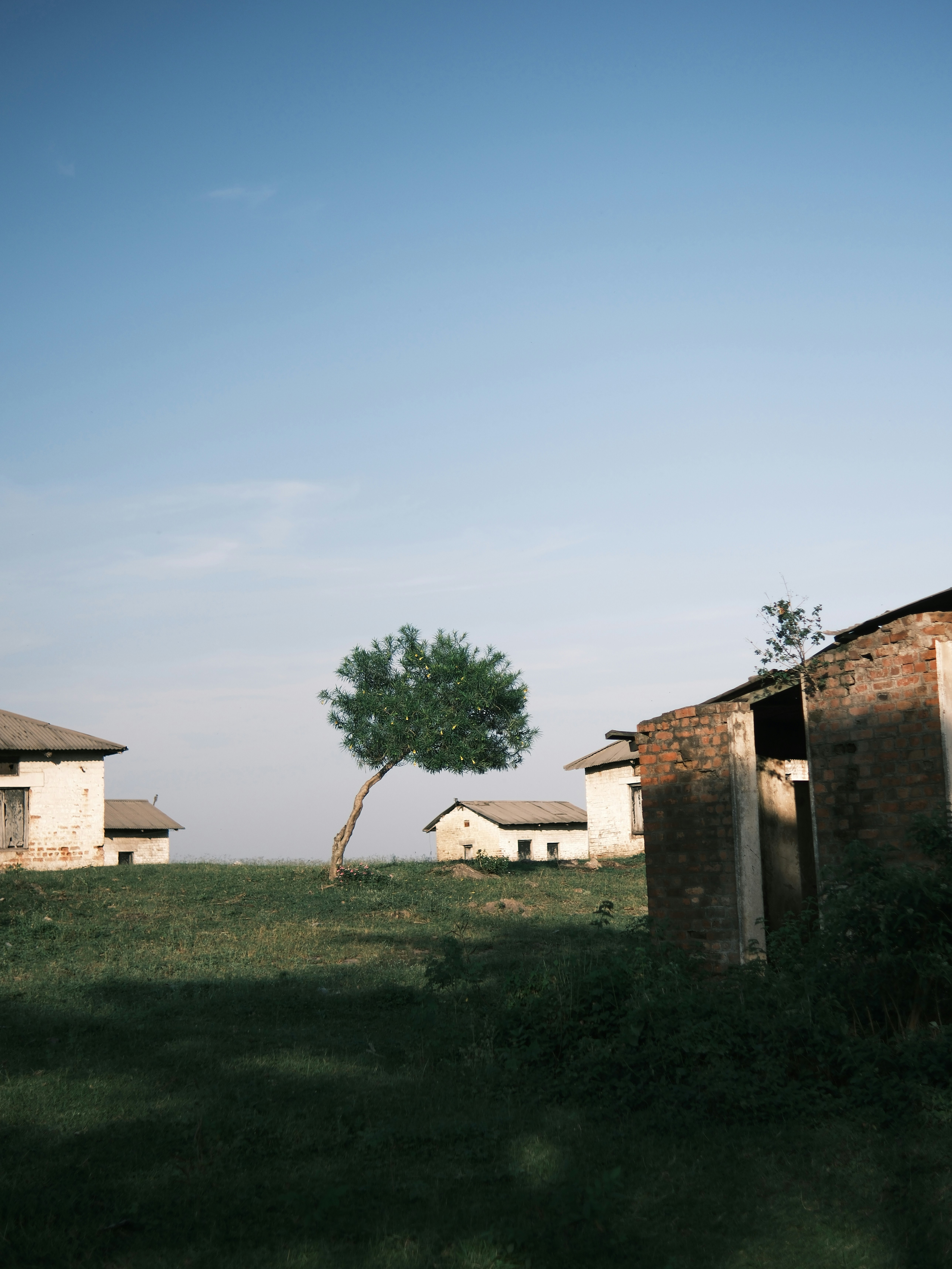 Photo by ninnojackjr