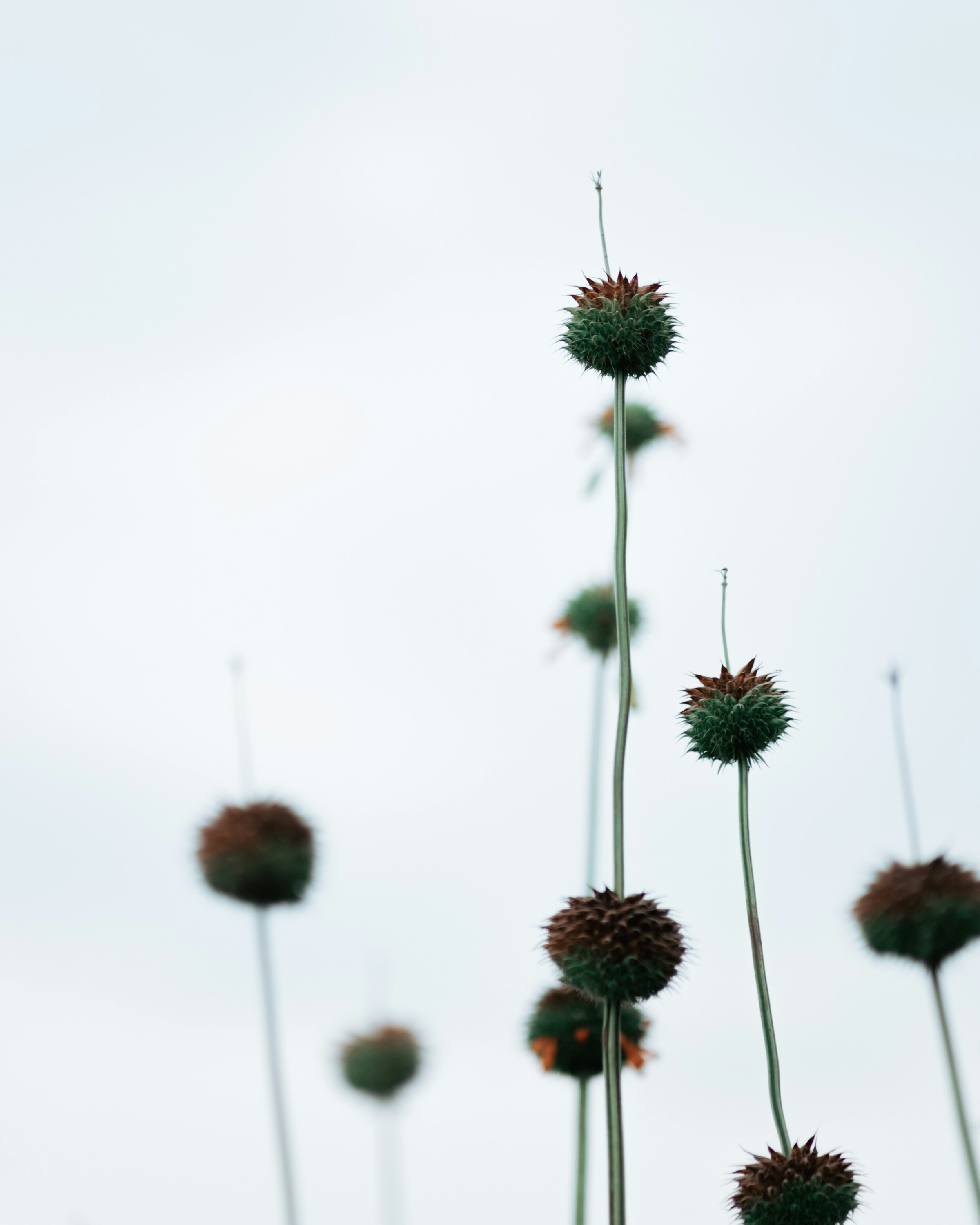 Photo by ninnojackjr