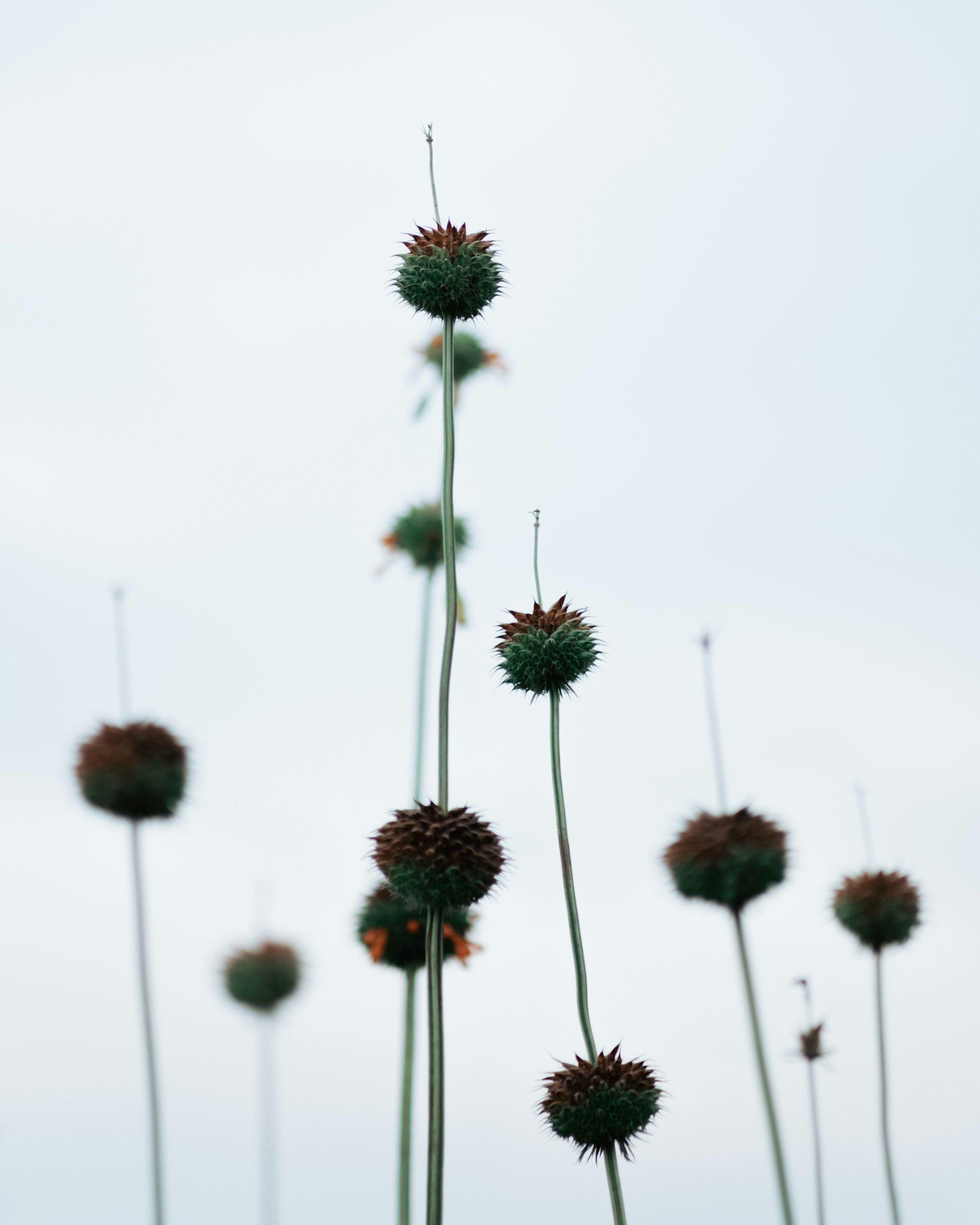 Photo by ninnojackjr