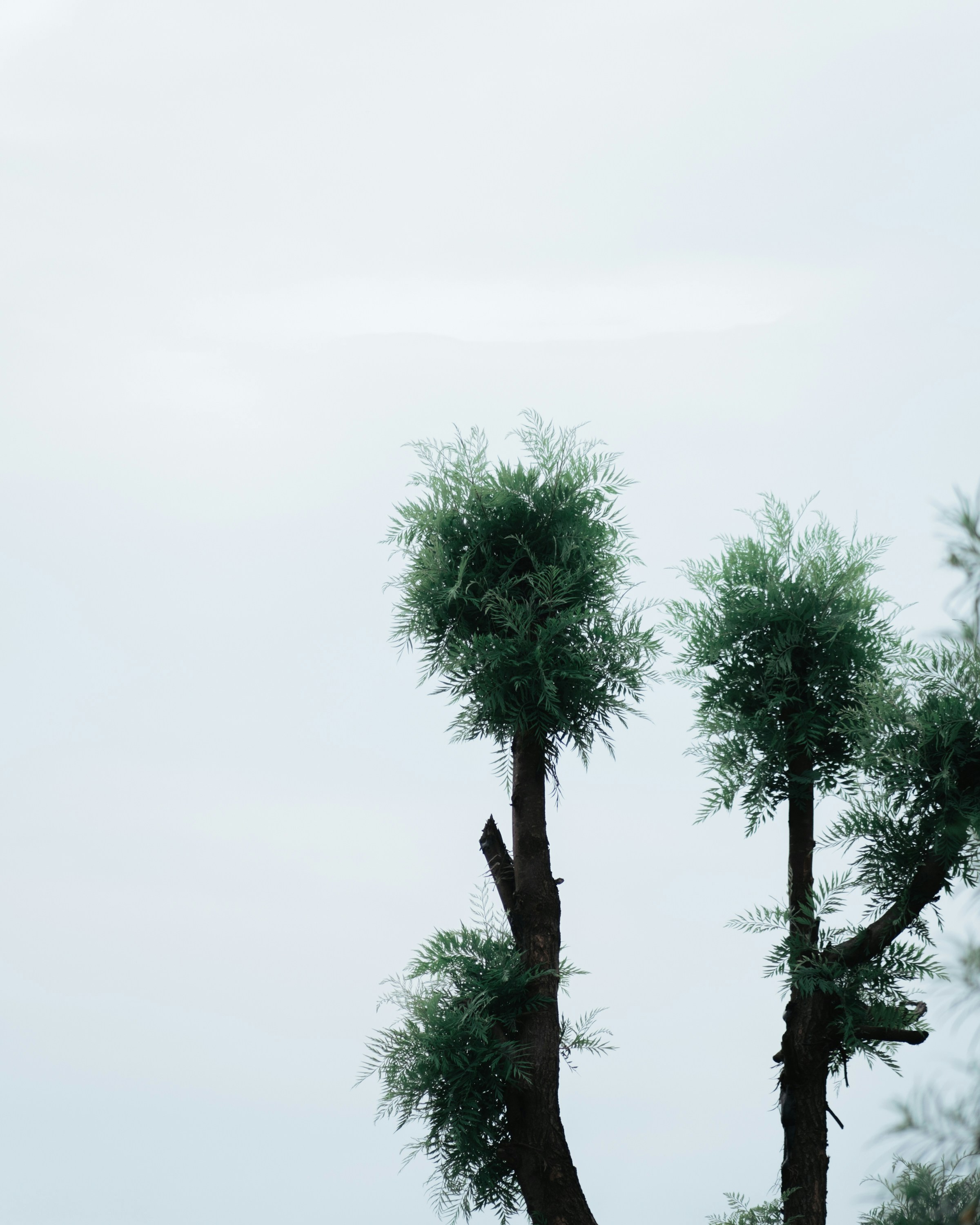 Photo by ninnojackjr