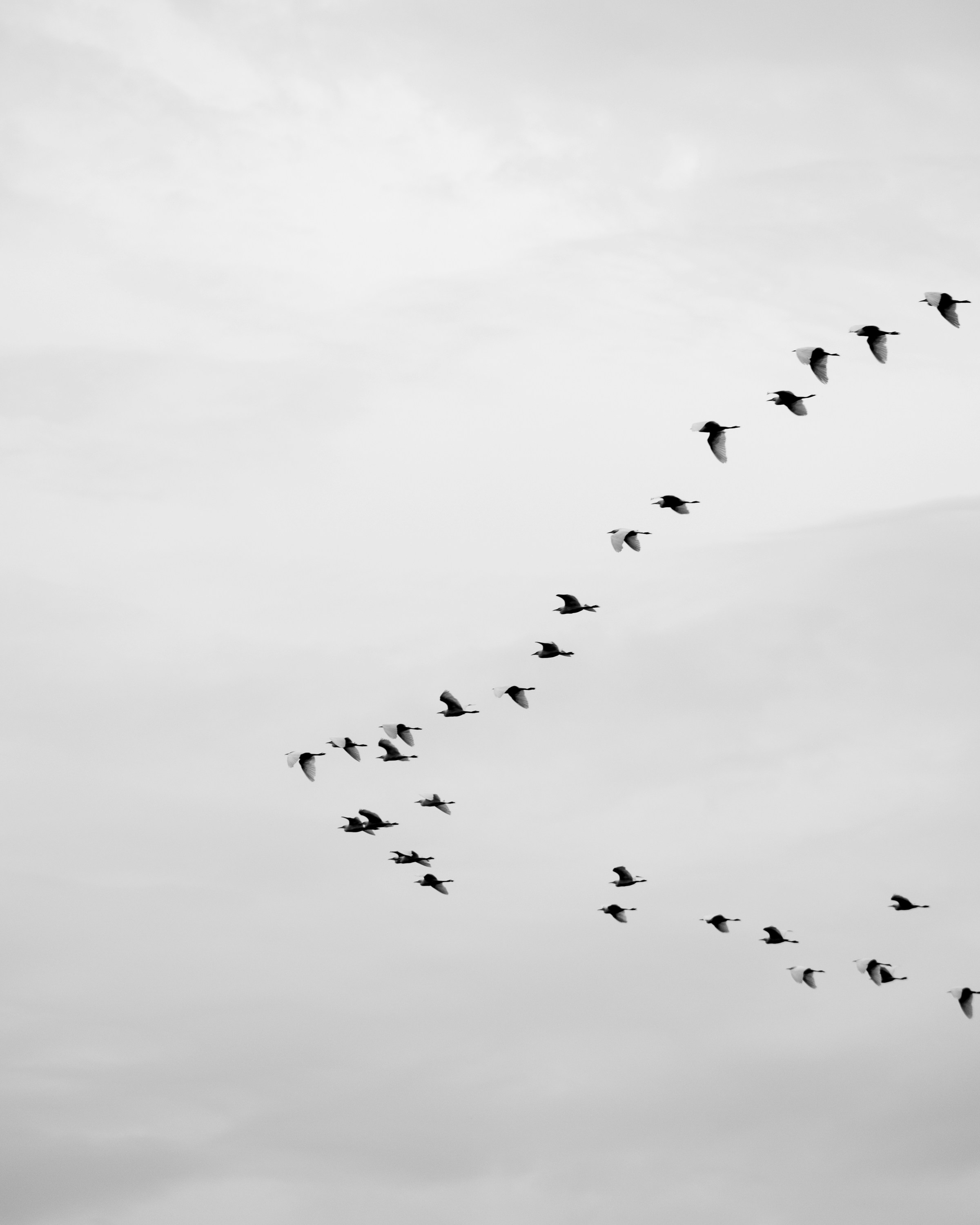 Photo by ninnojackjr