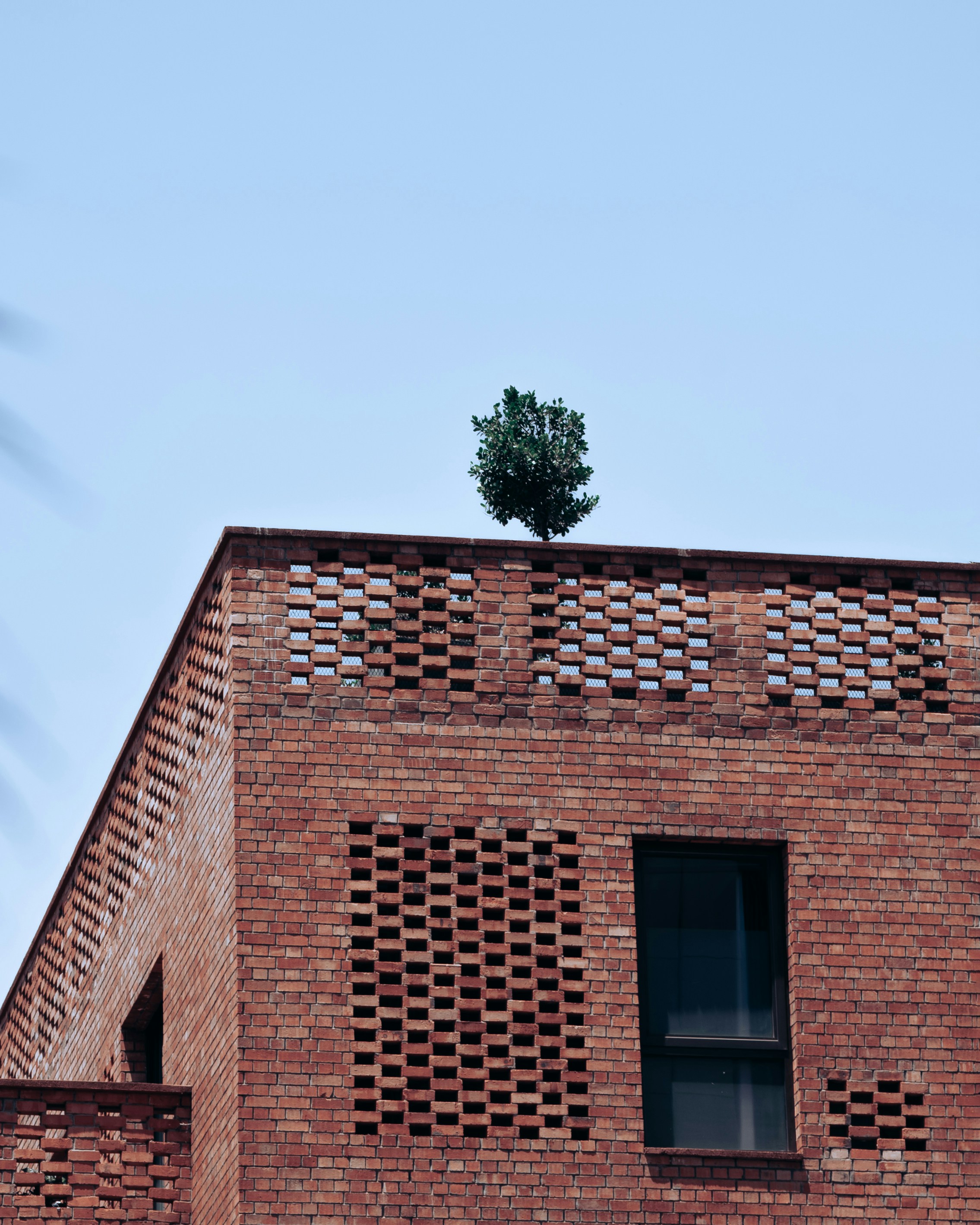 A brick building with a small tree on top of it