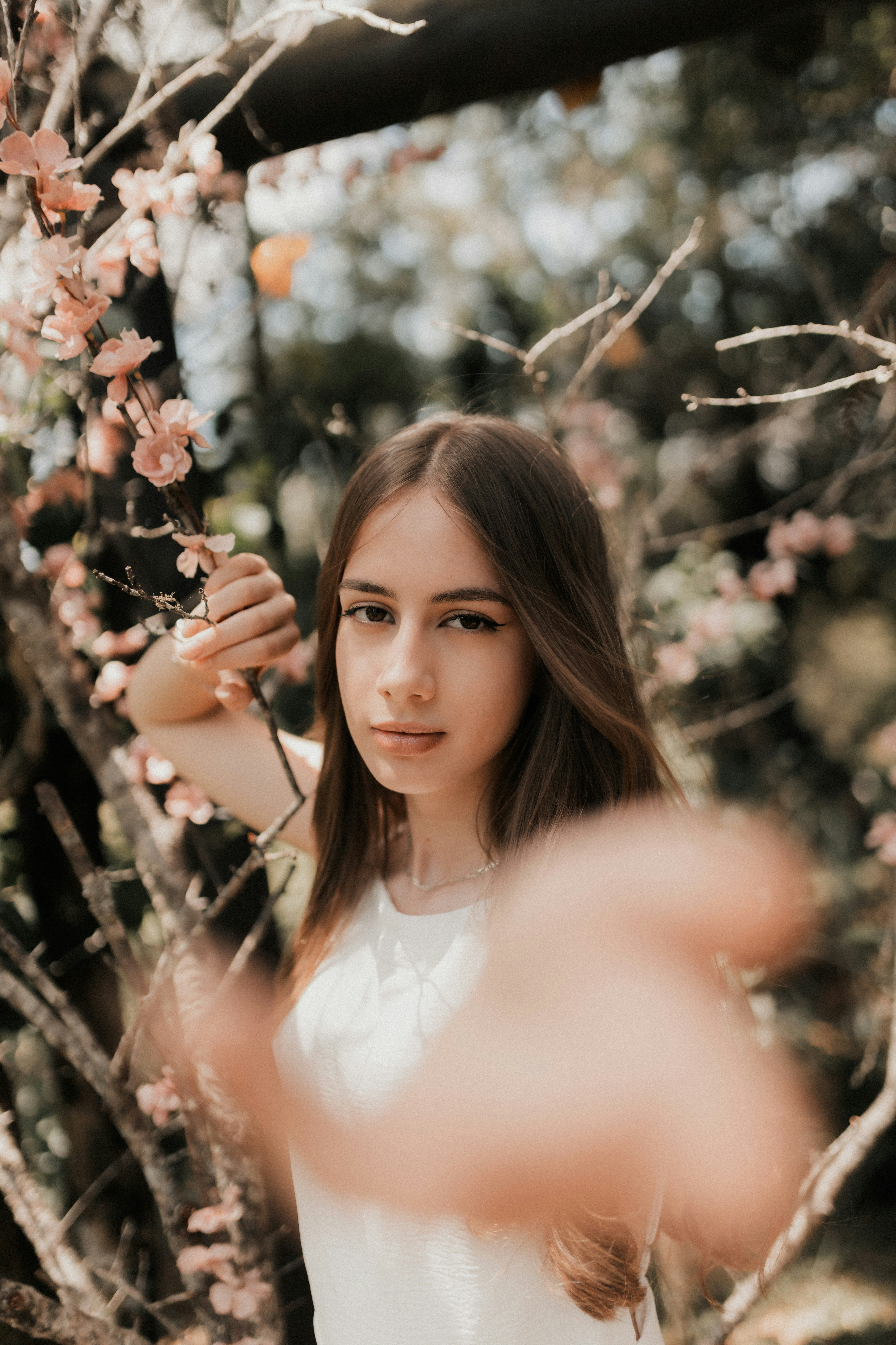 Photo by alexandermassph