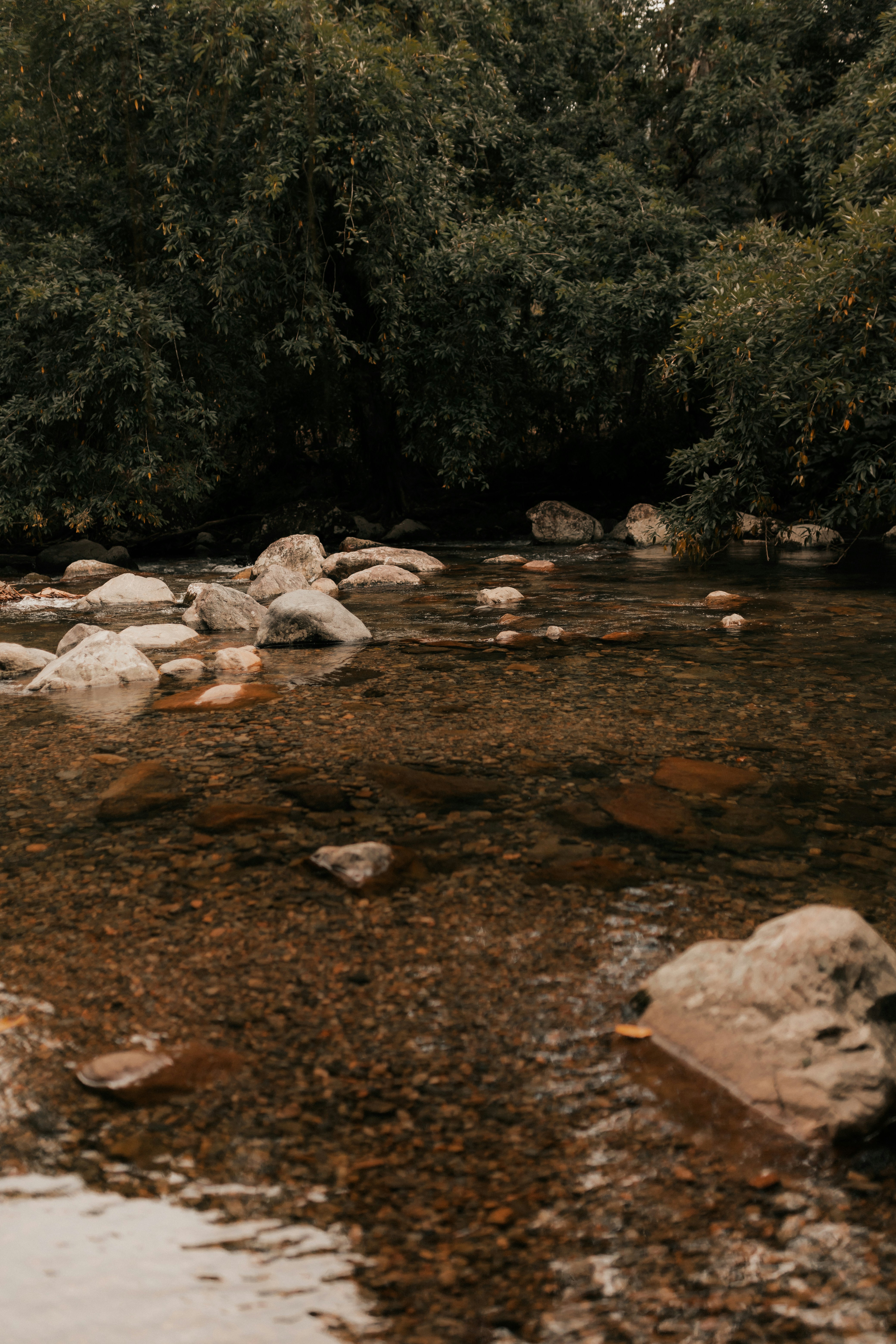 Photo by alexandermassph