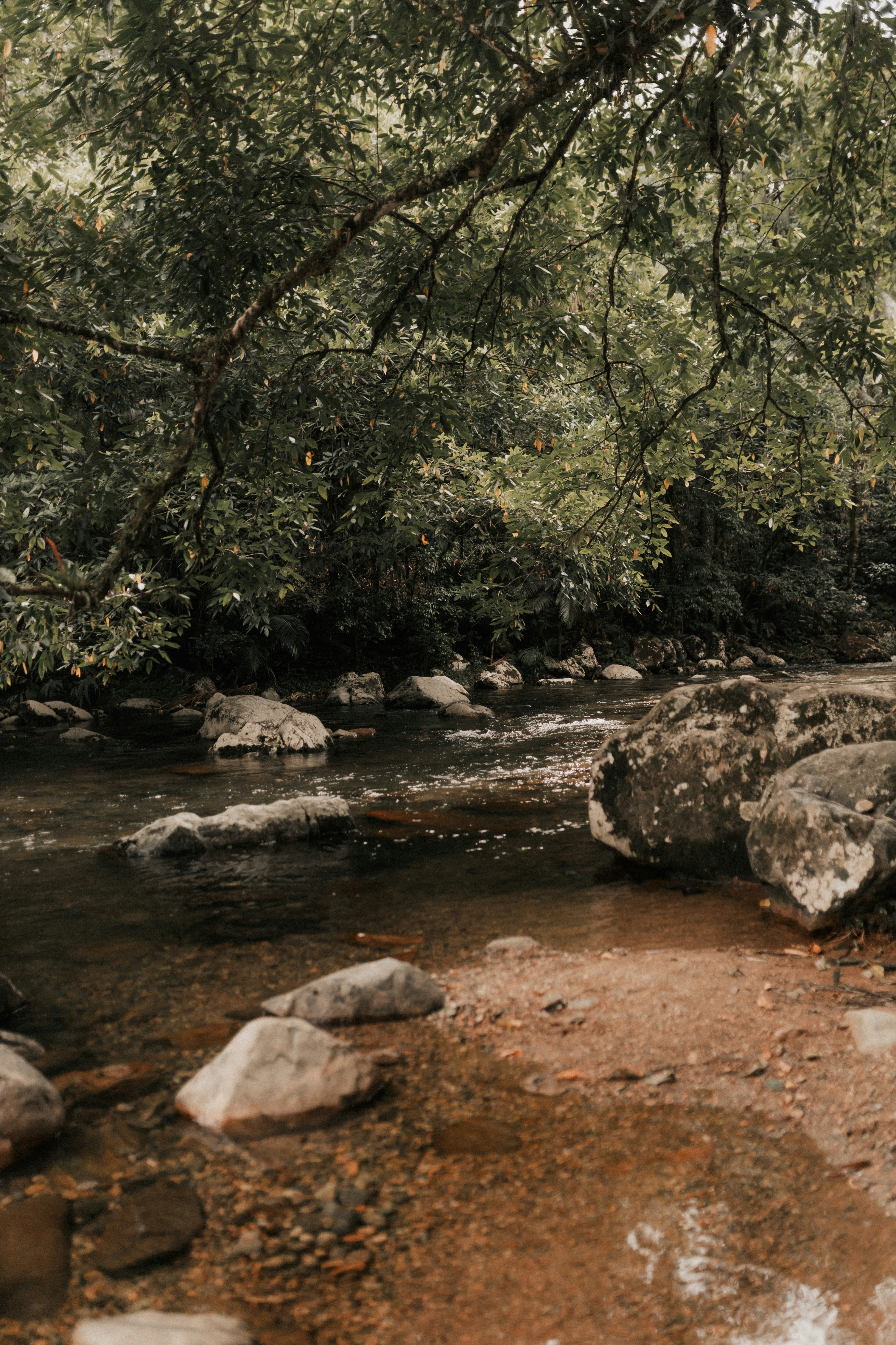 Photo by alexandermassph