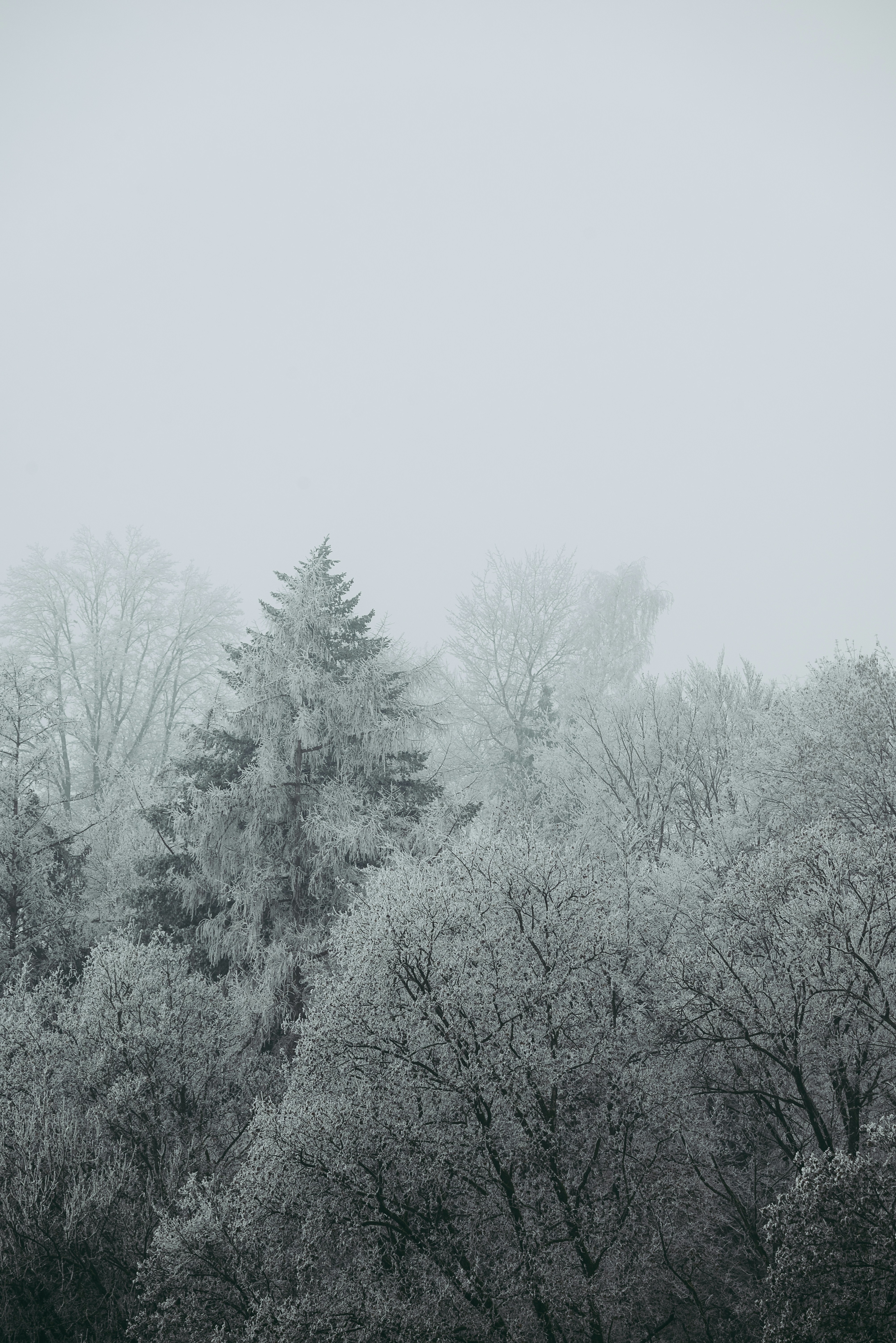 Photo by jetztabertempo