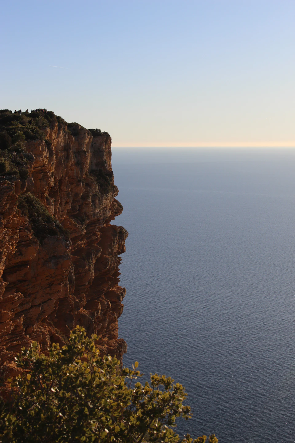 The image depicts a cliff overlooking the ocean, with a small tree growing on its left side and a larger tree on its right. The cliff is made of red rock and has a rugged texture, adding to the dramatic landscape. The vast expanse of the ocean stretches out towards the horizon in the background, creating a sense of depth and scale. The sky above is clear blue with a few clouds scattered across it.