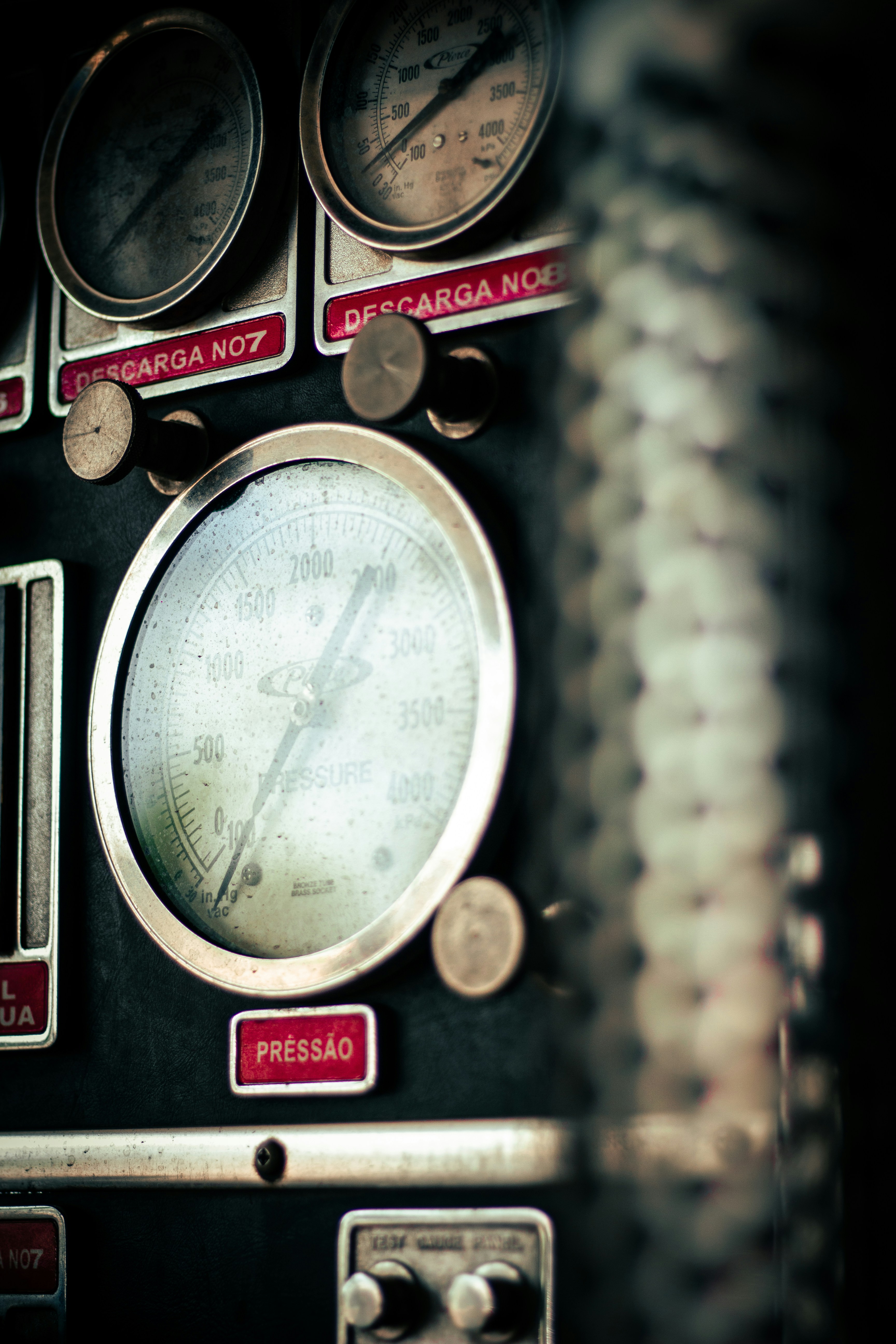 Photo by fischer1987