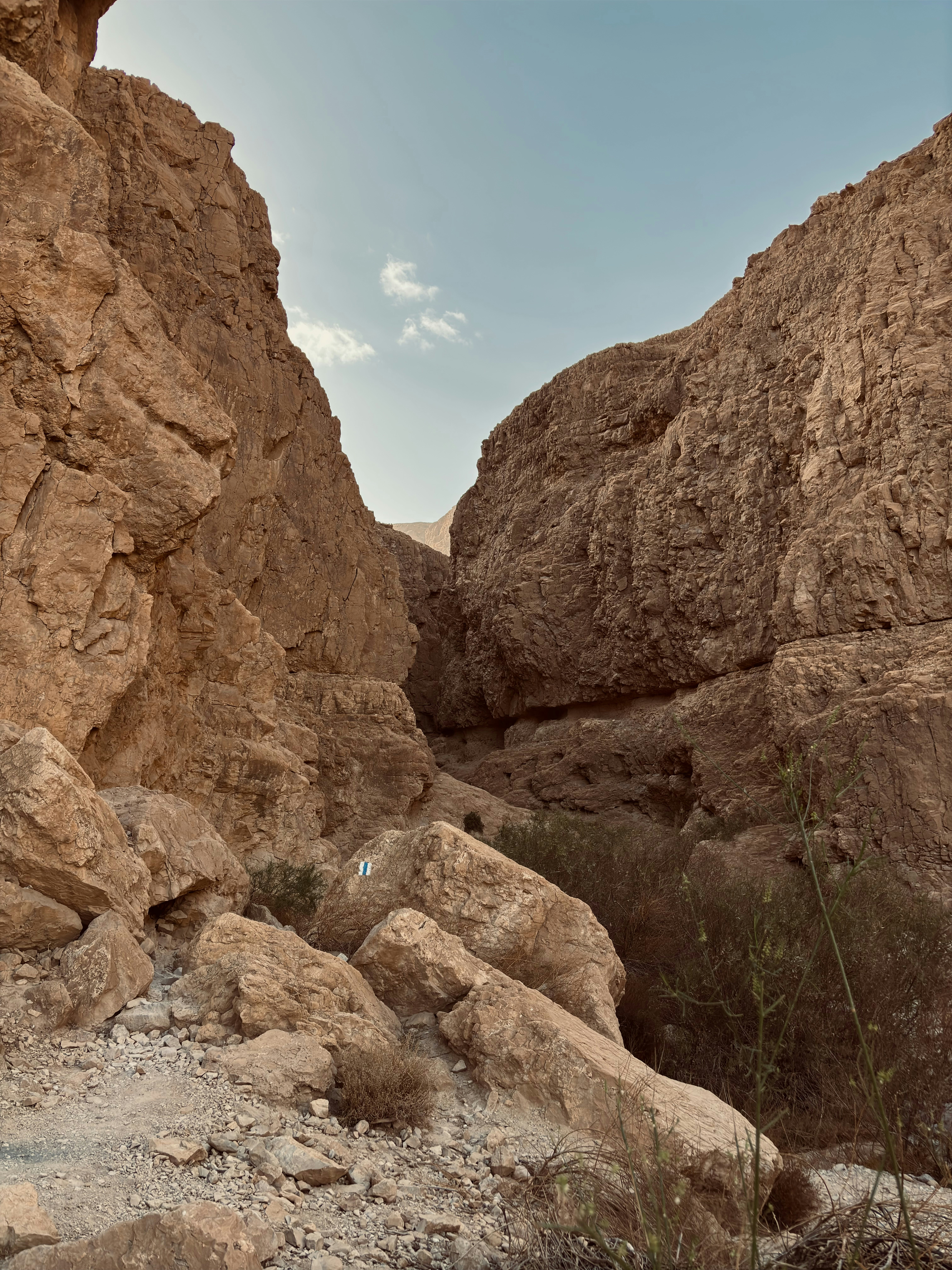 A rocky area with rocks and plants growing out of it