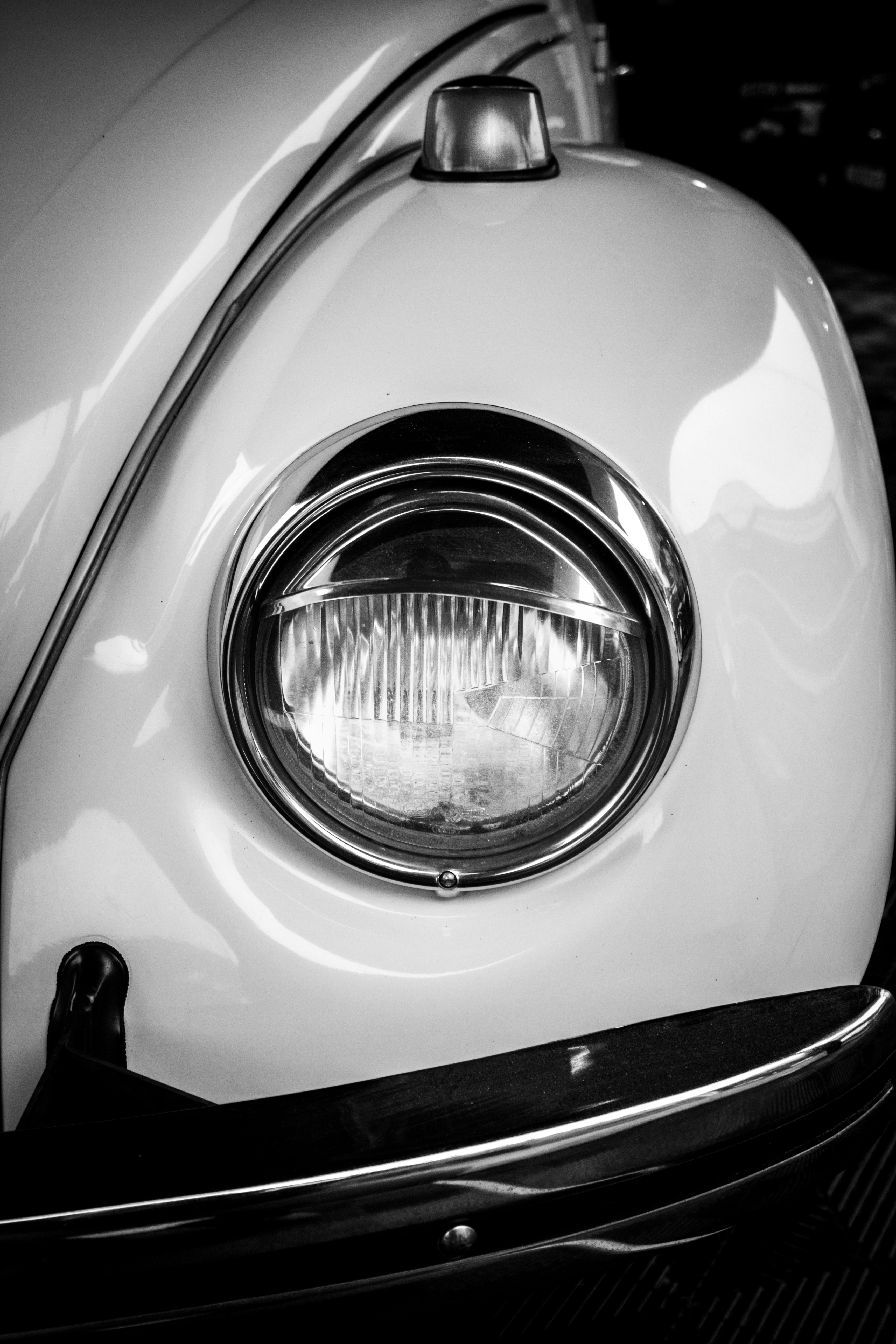 Photo by fischer1987