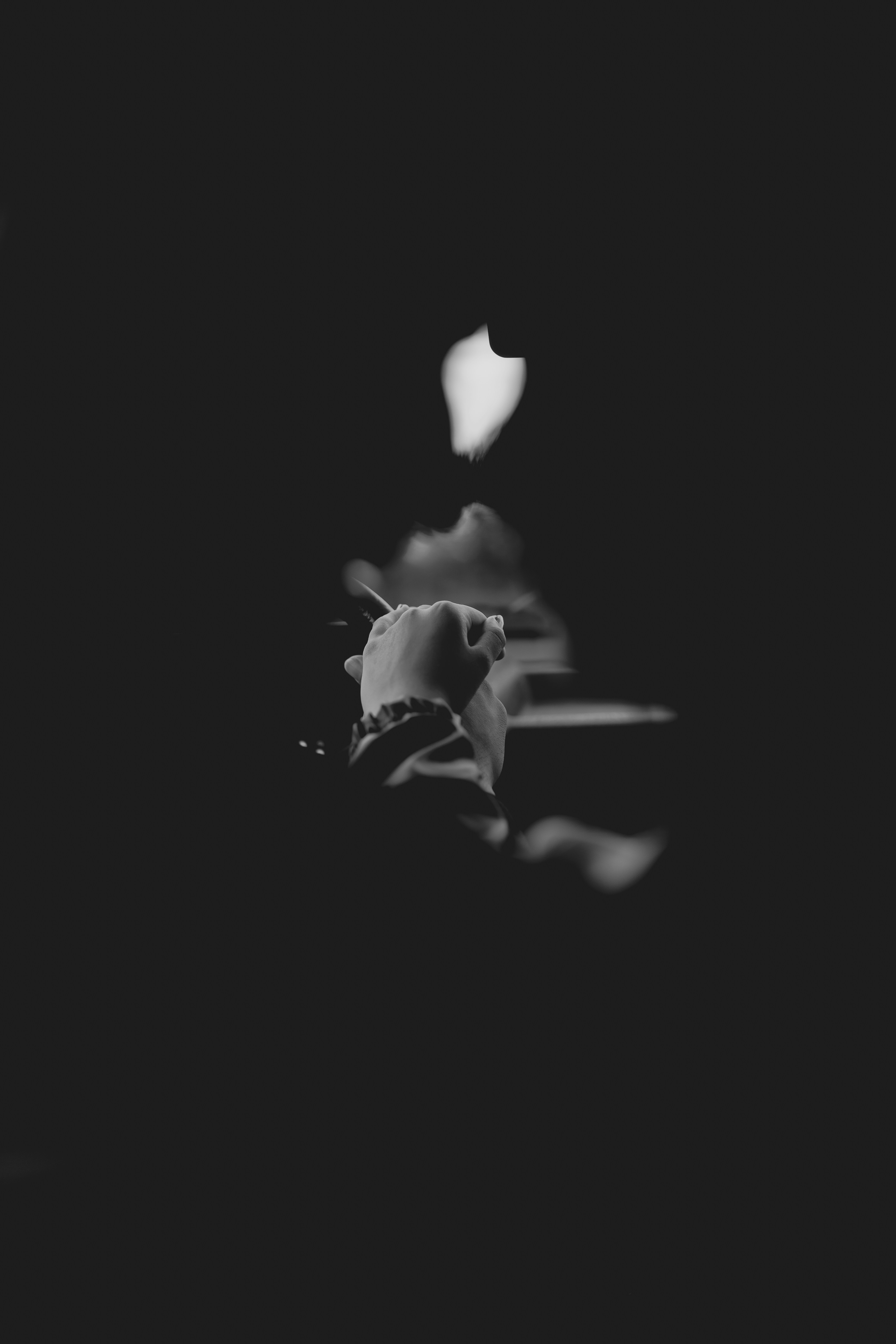 Photo by alexandermassph