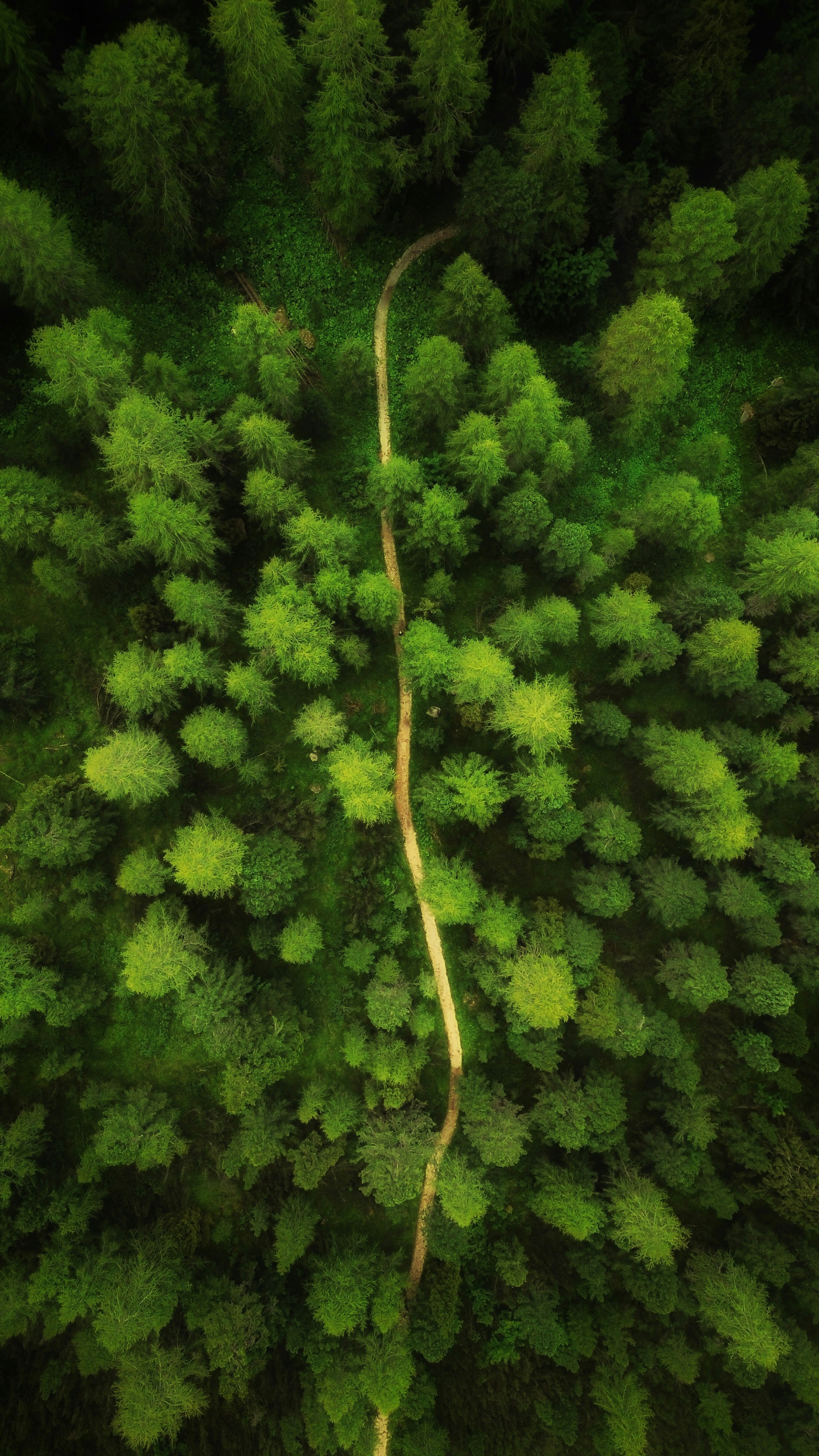 Photo by naturelensephotographer