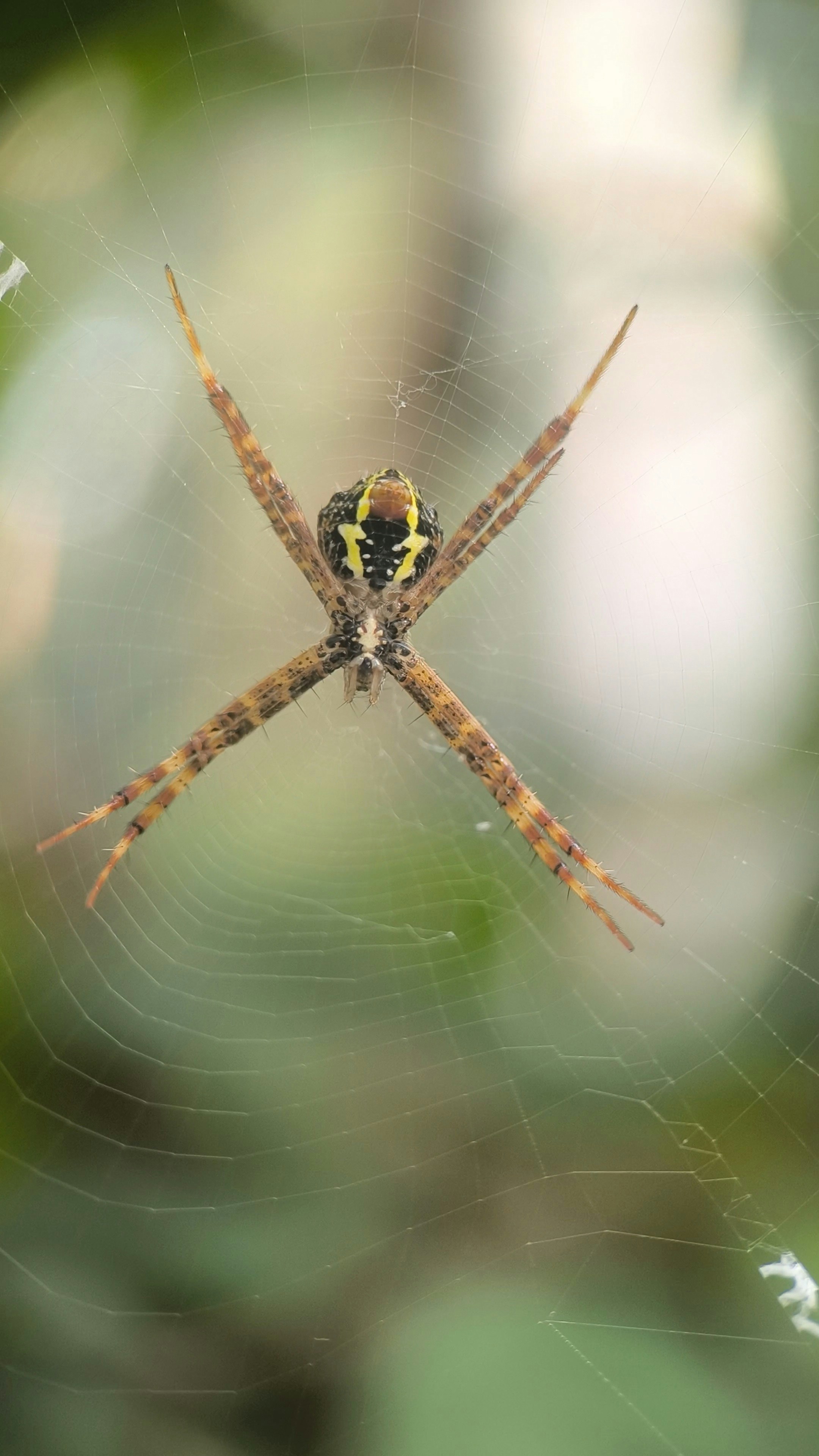 Photo by shadowshahriar