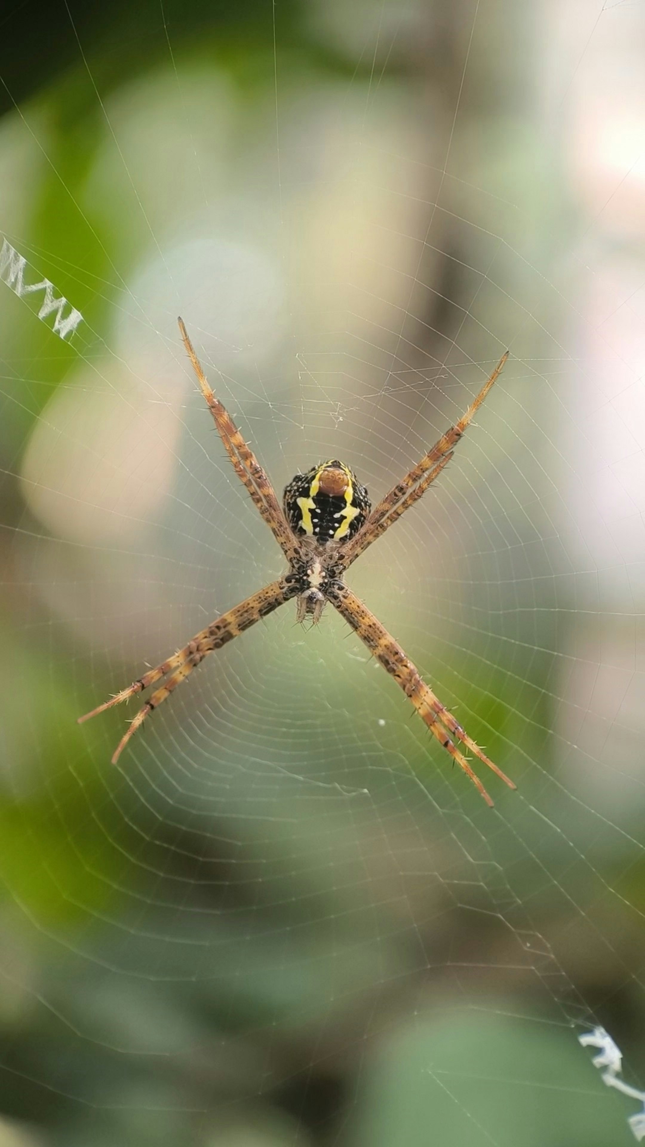 Photo by shadowshahriar