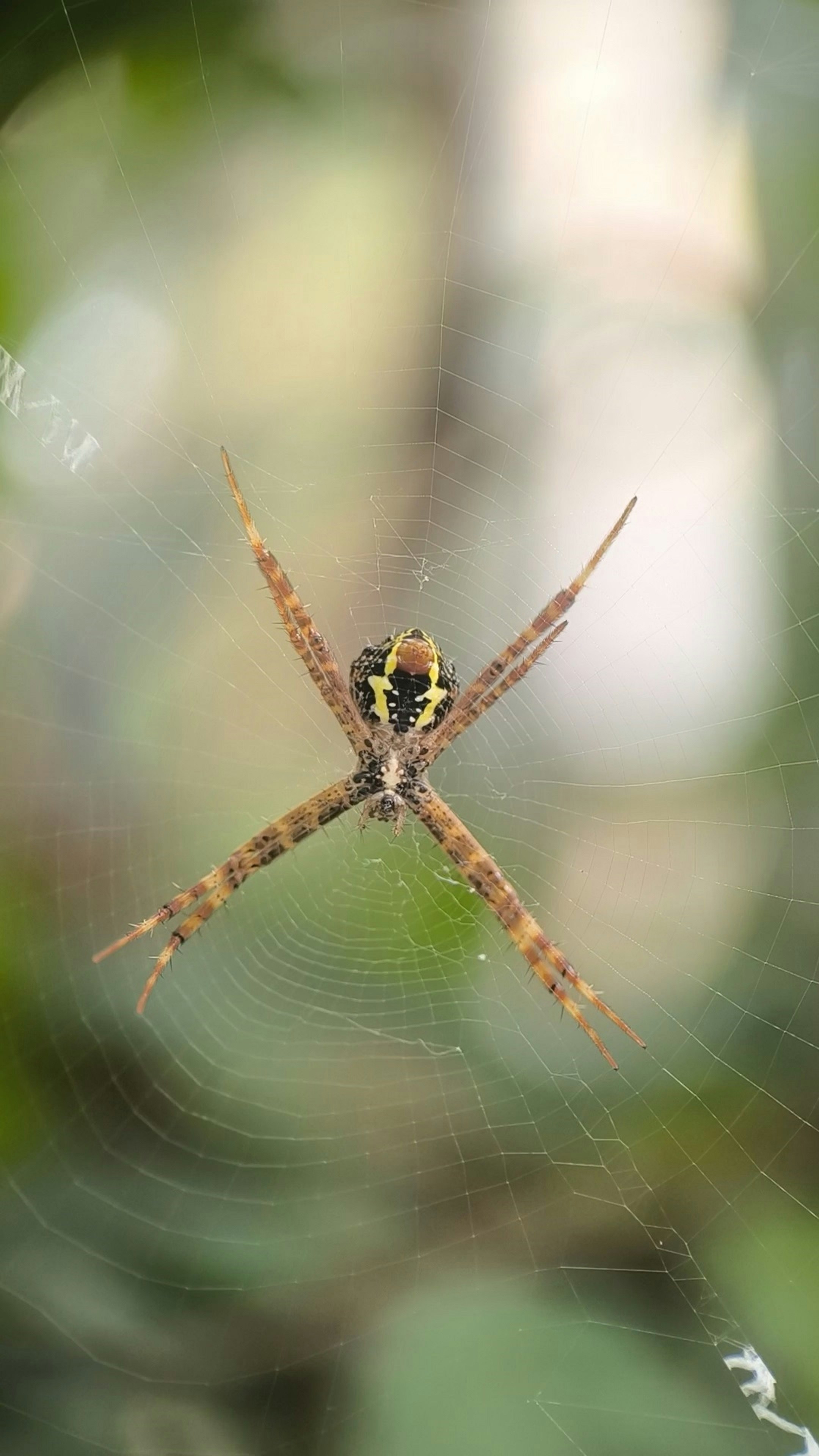 Photo by shadowshahriar