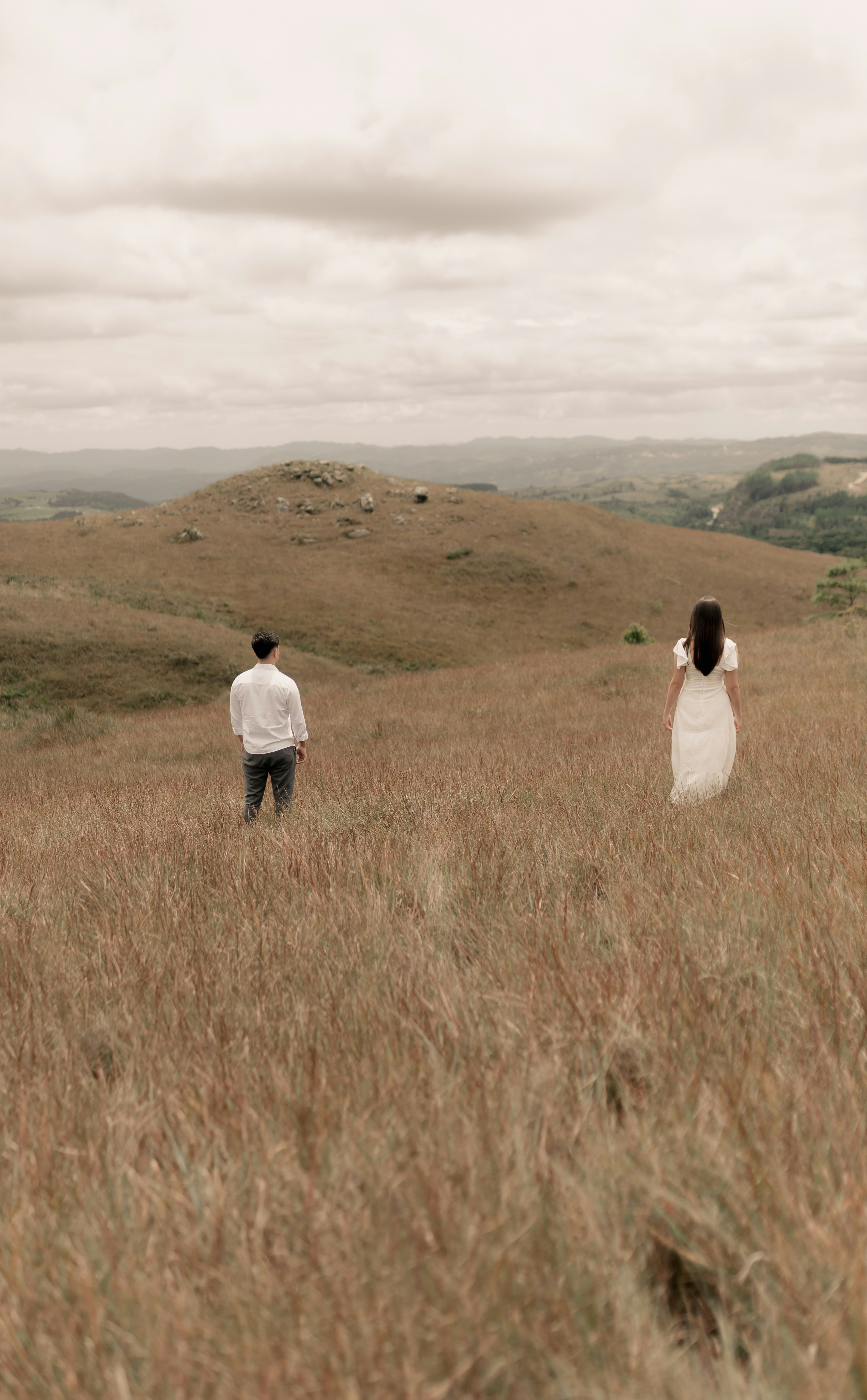 Photo by alexandermassph