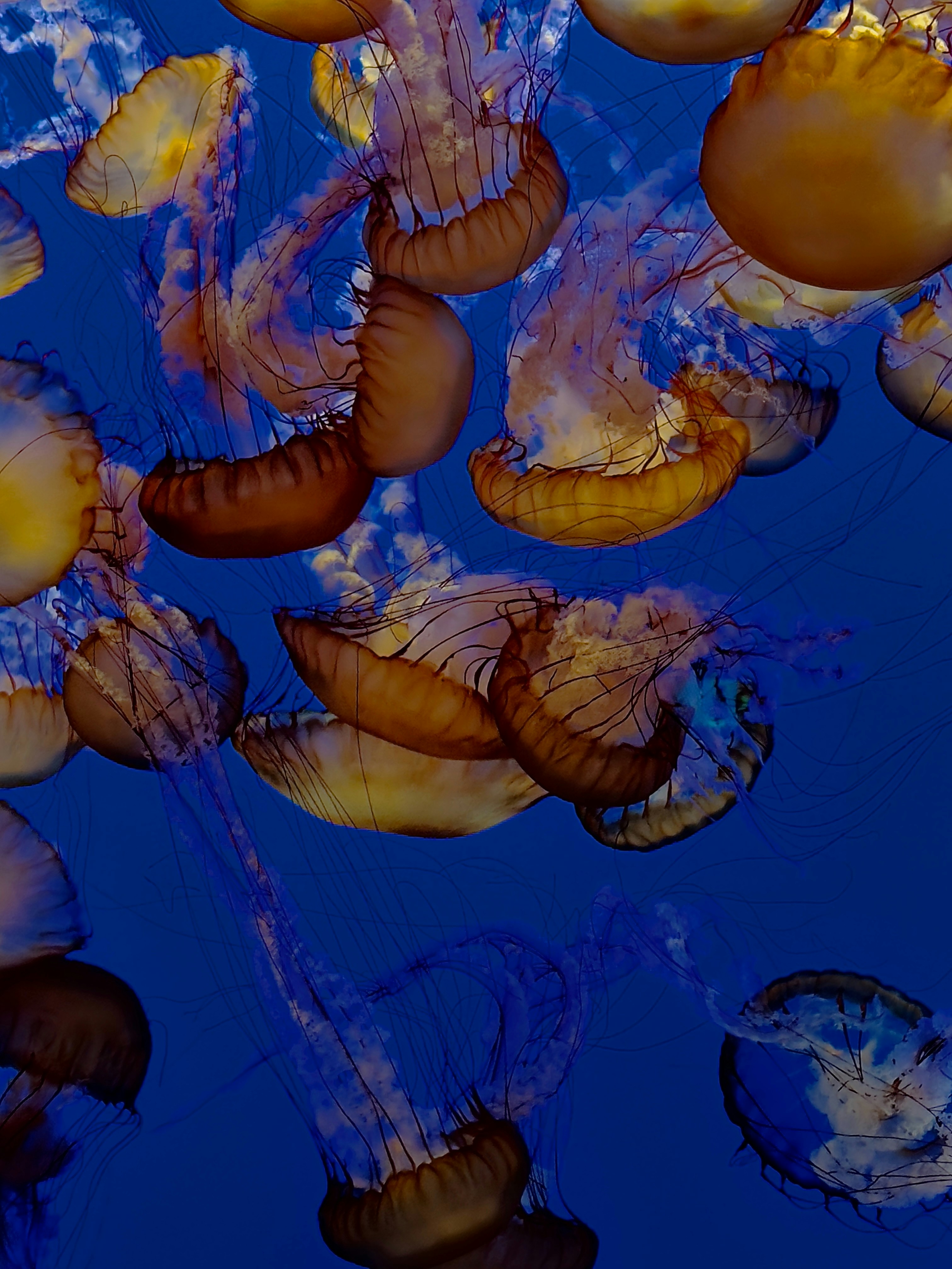 Photo by chintan10shah