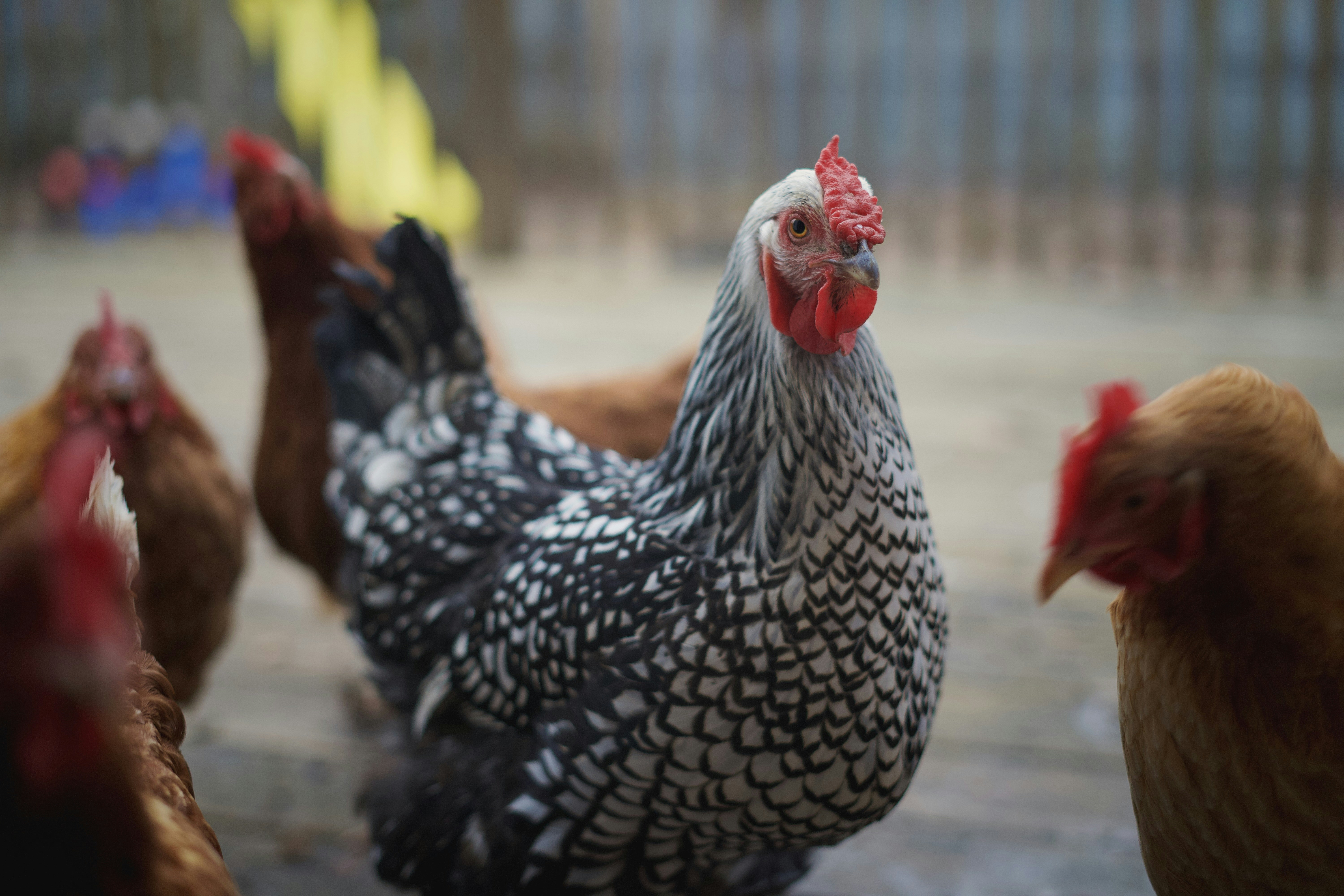 Photo by minimdesignco