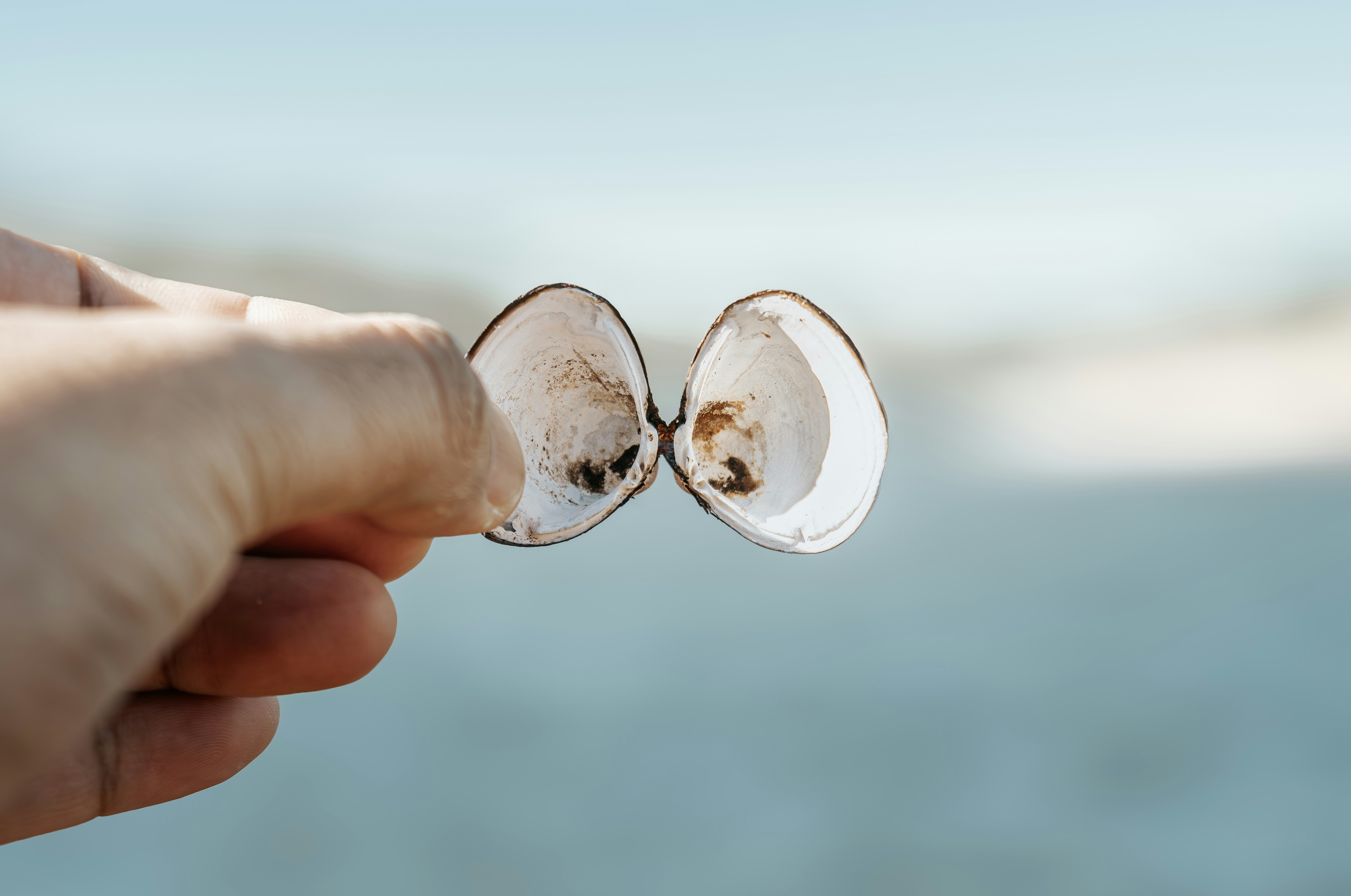 A person holding a piece of food in their hand