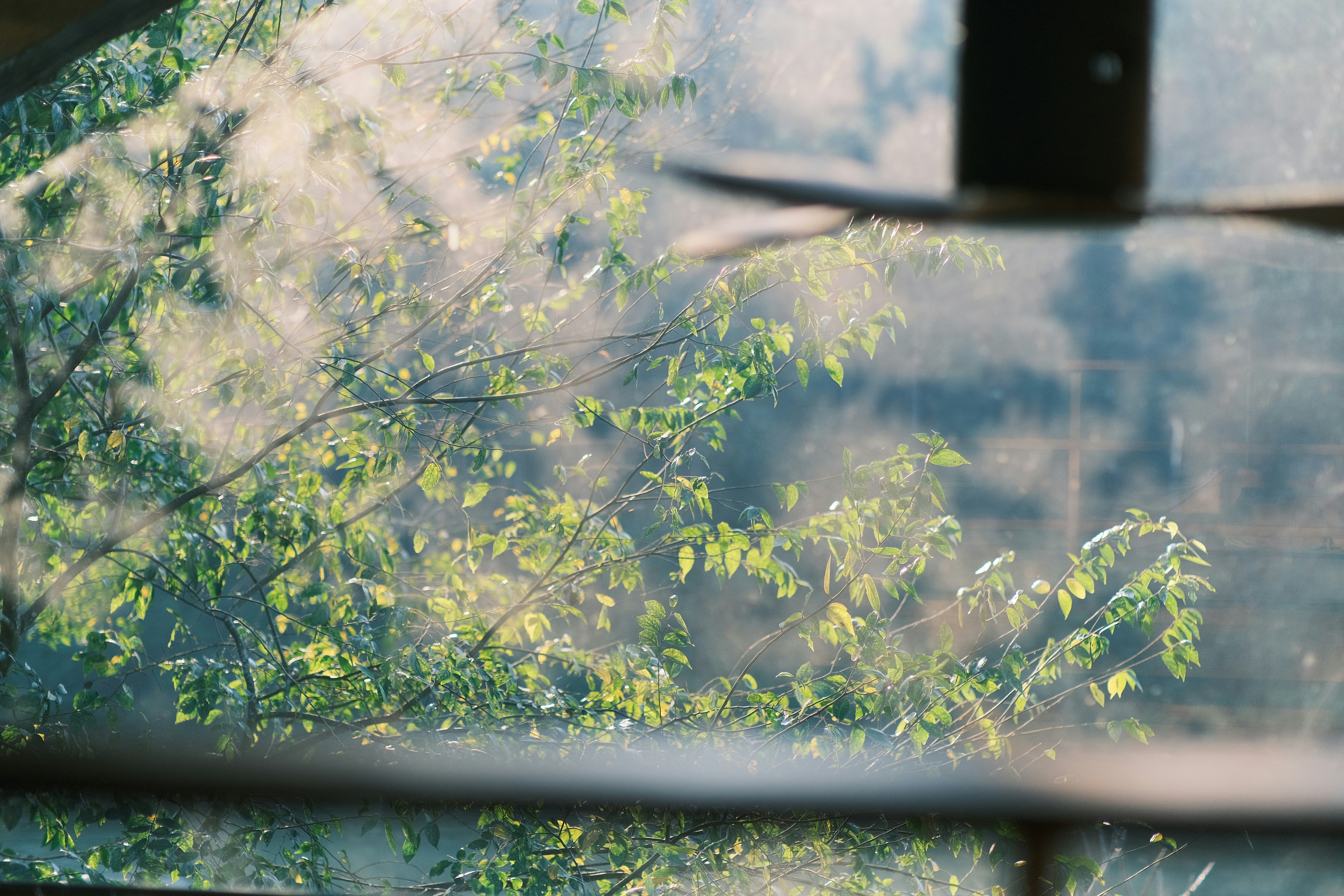 Photo by tutrananh109