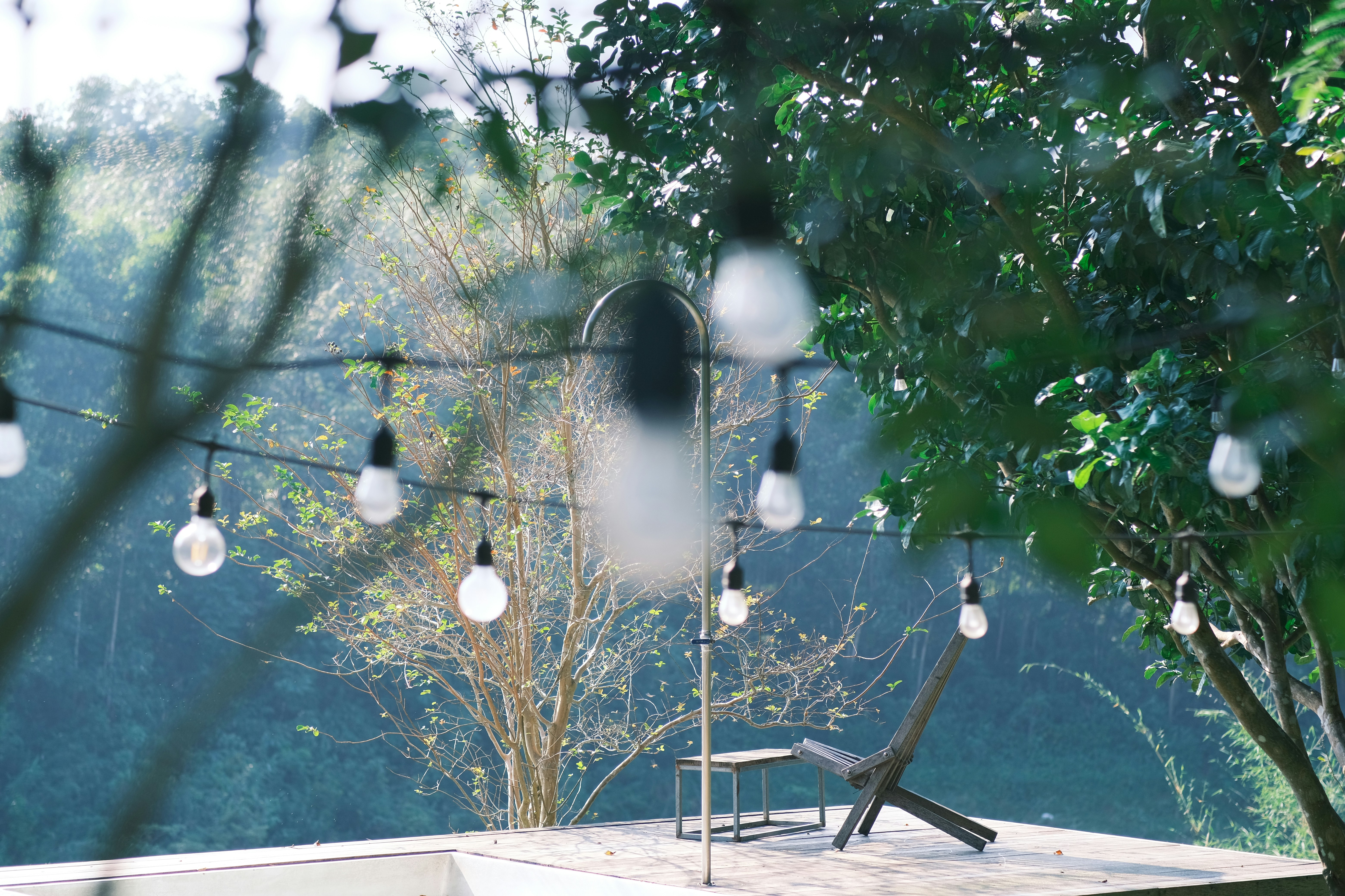 Photo by tutrananh109