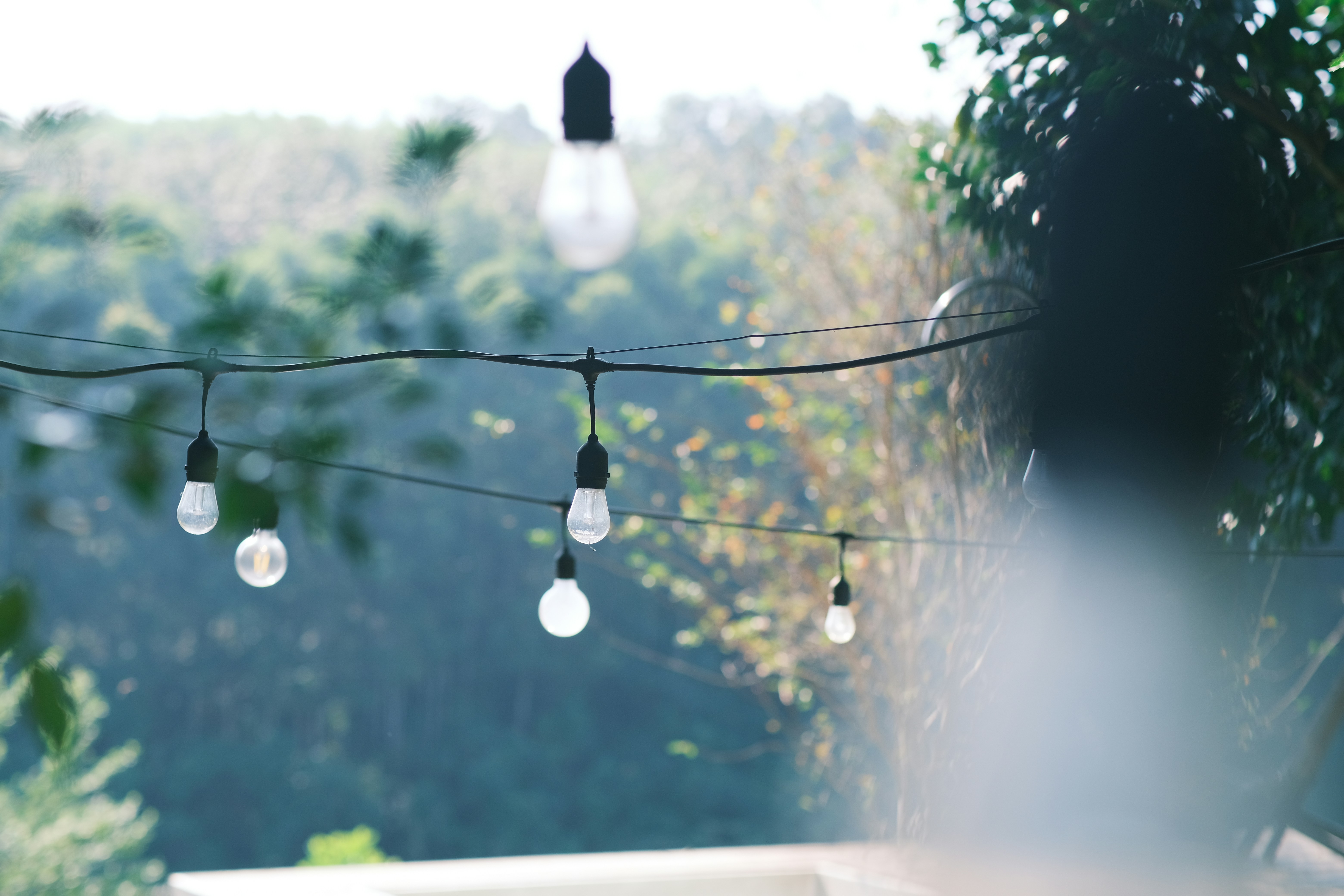 Photo by tutrananh109