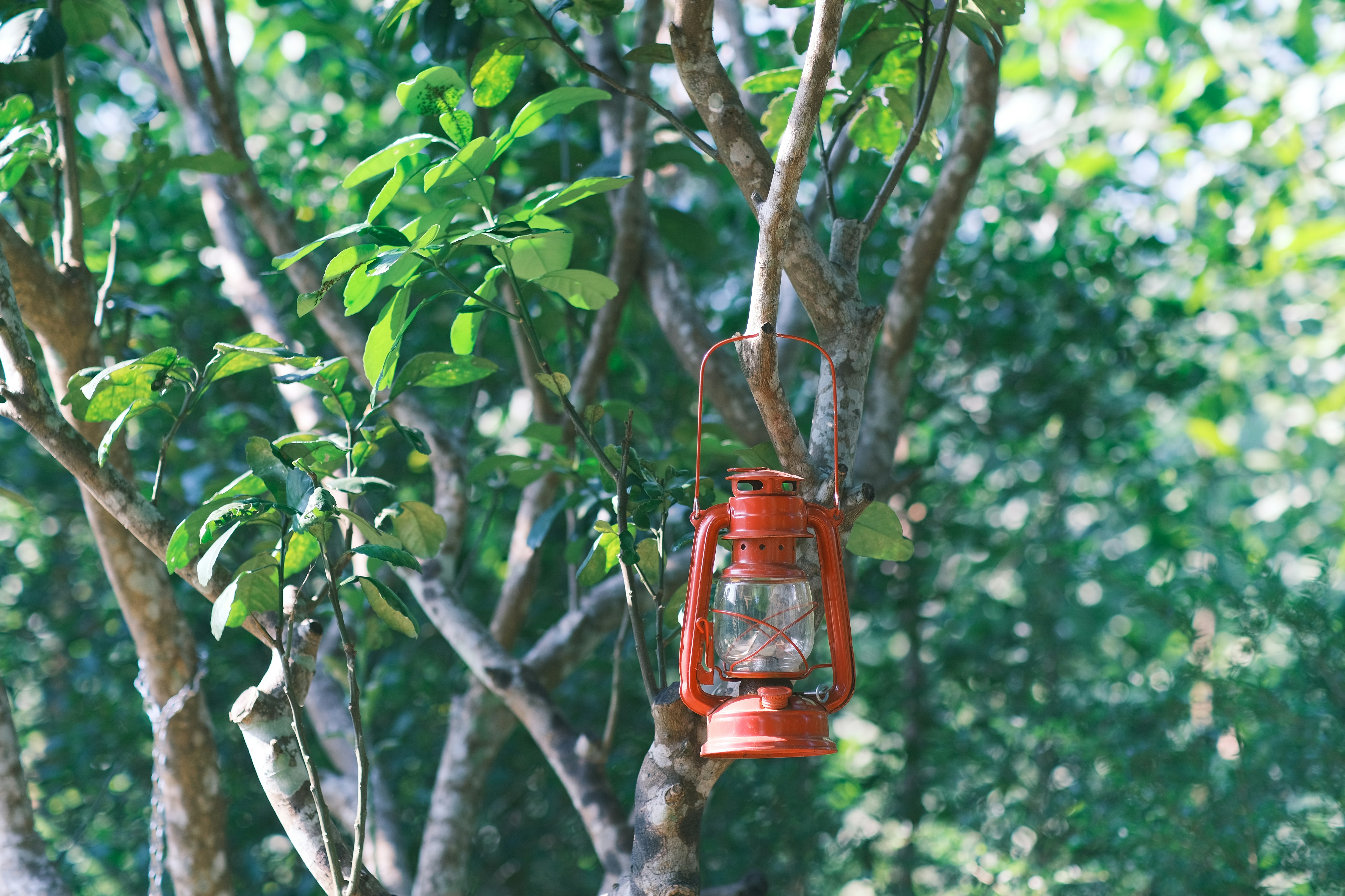 Photo by tutrananh109