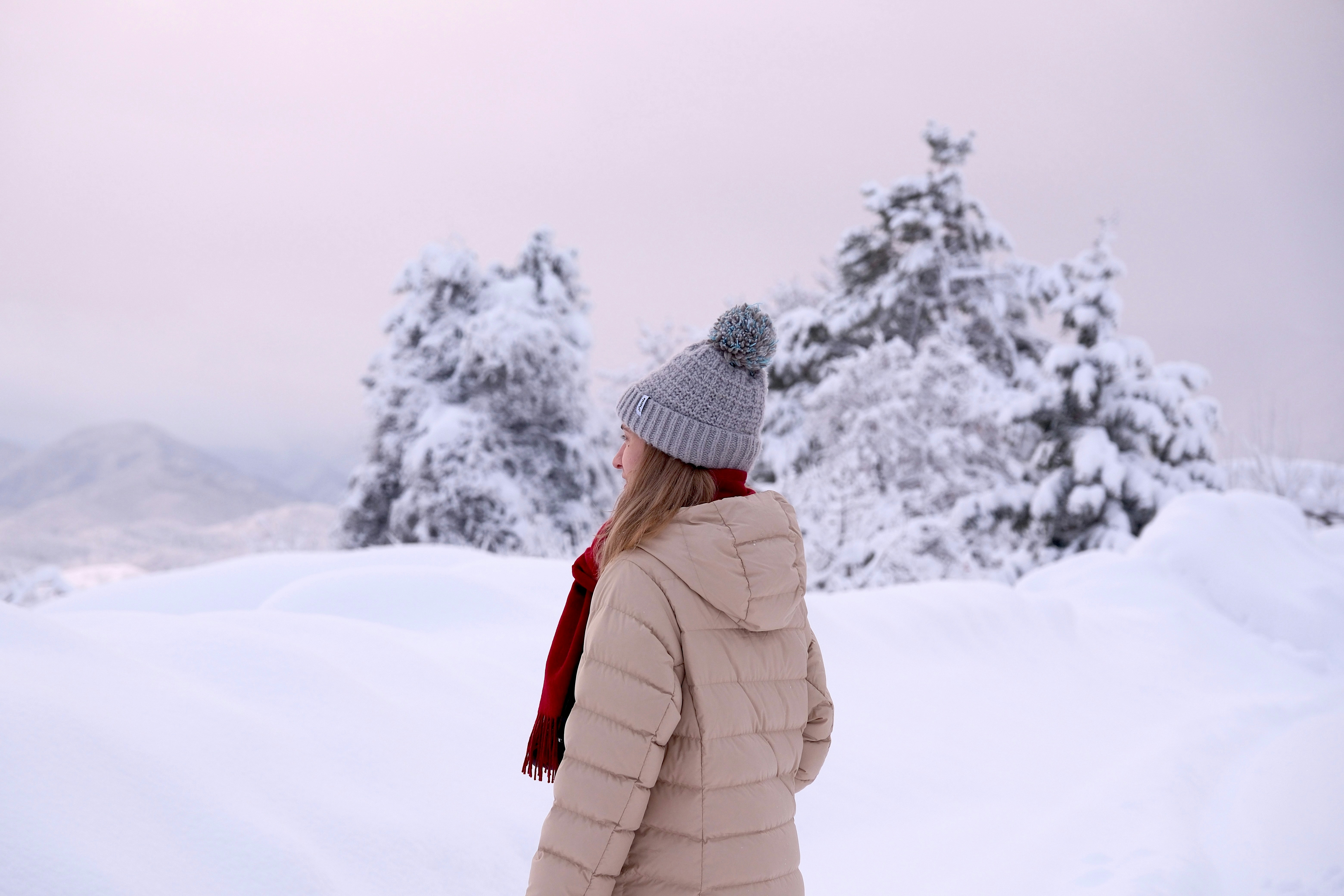 Photo by seiya_maeda
