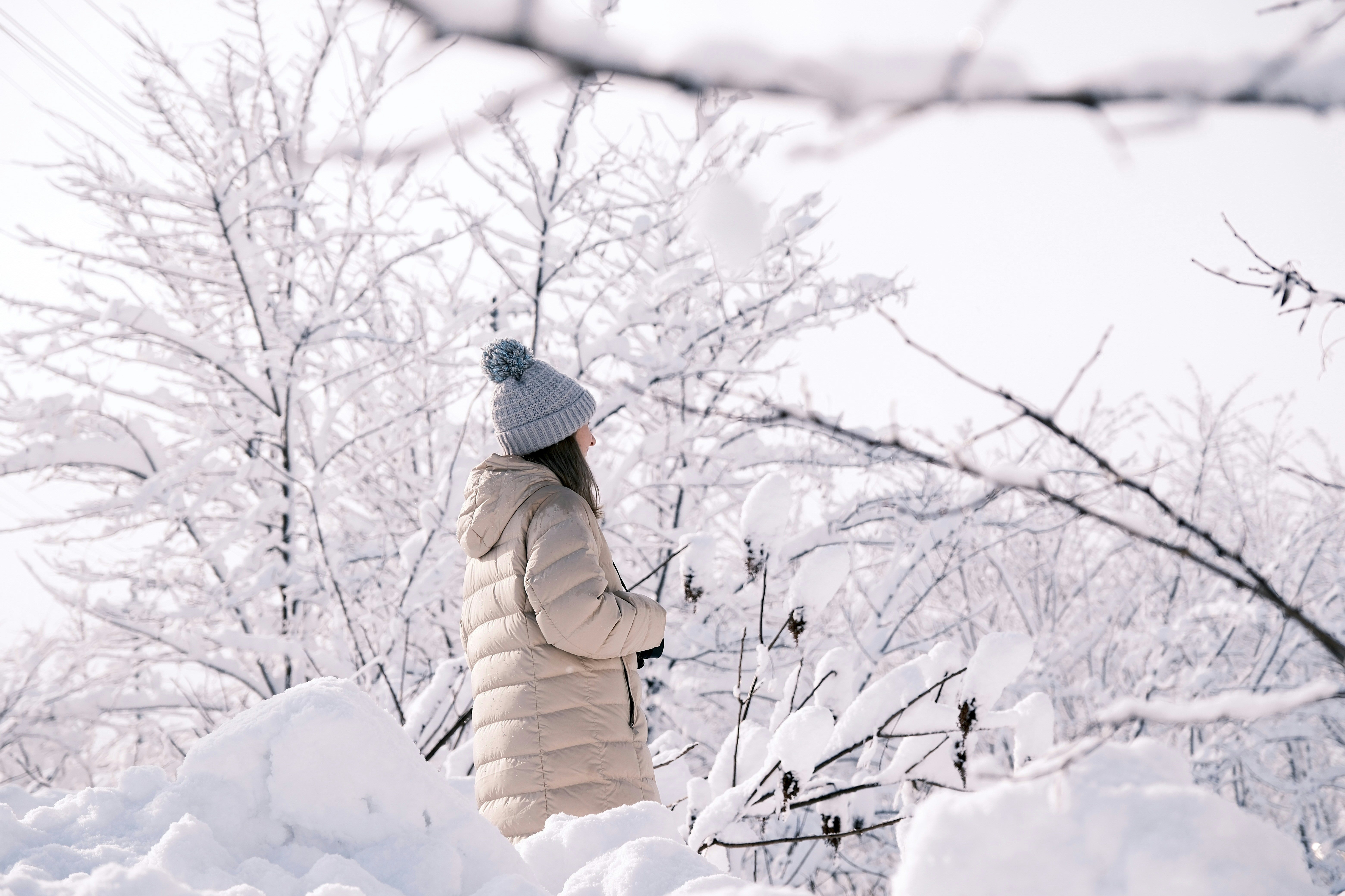 Photo by seiya_maeda