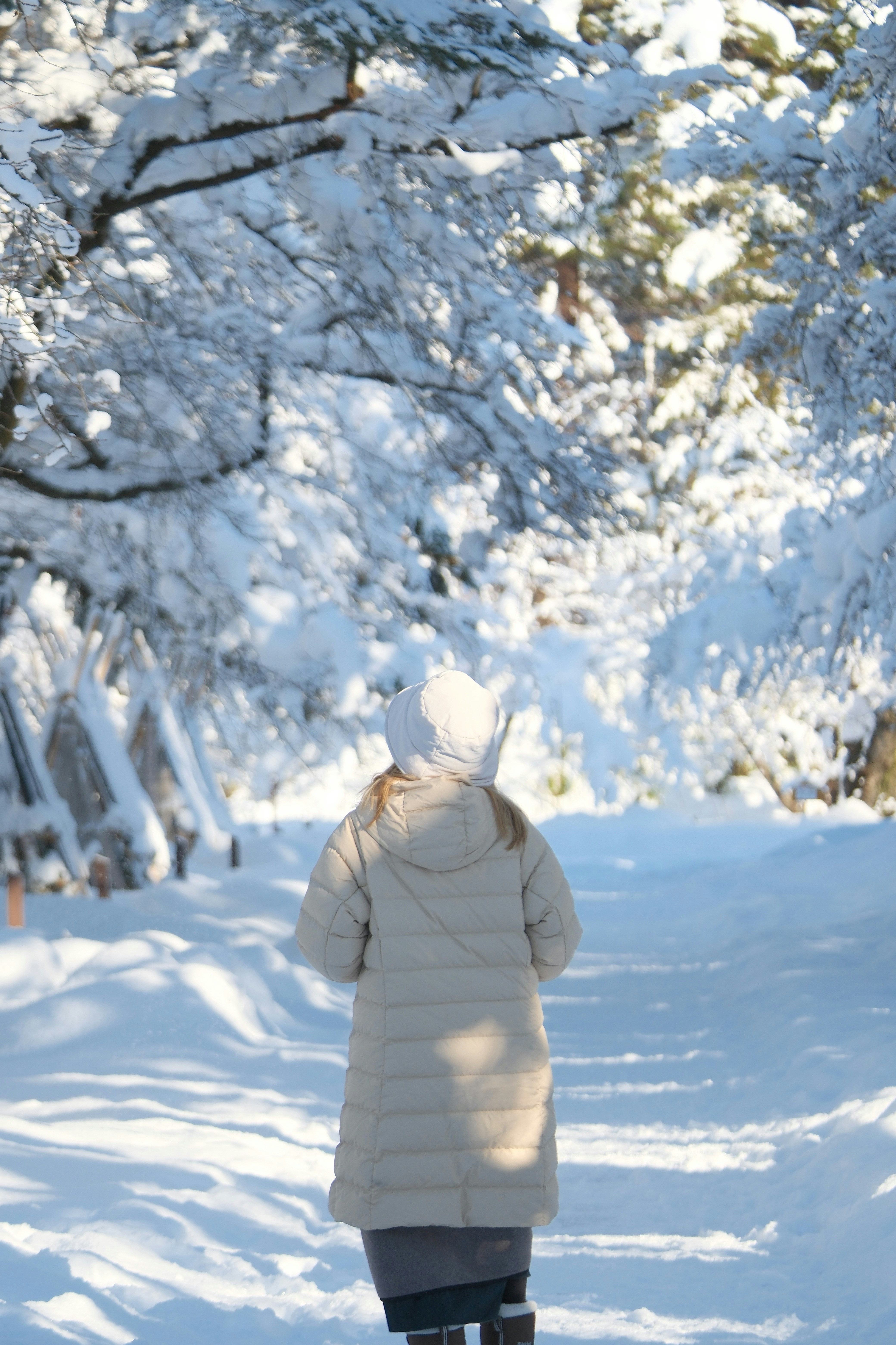 Photo by seiya_maeda