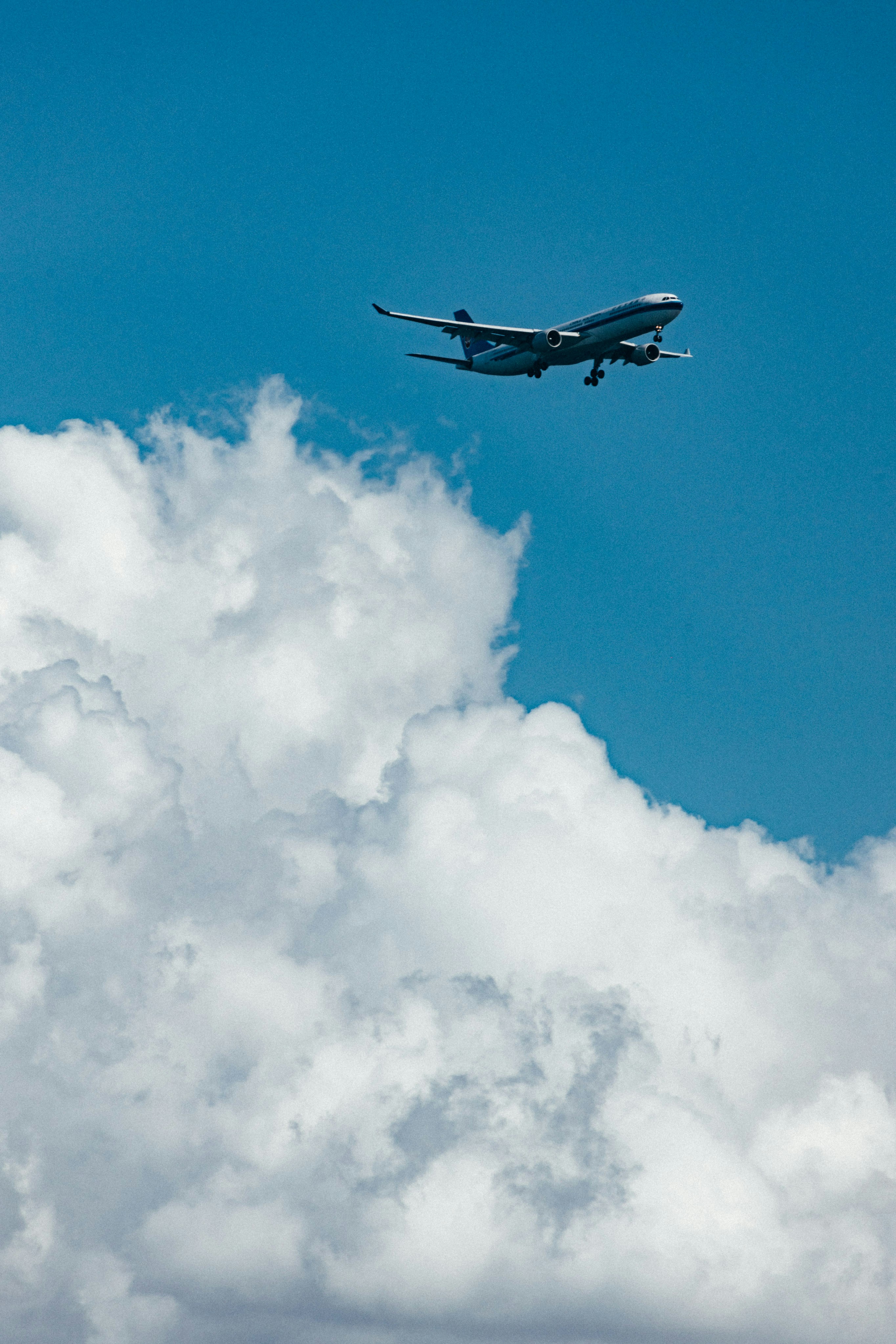 Photo by tsuyoshikozu