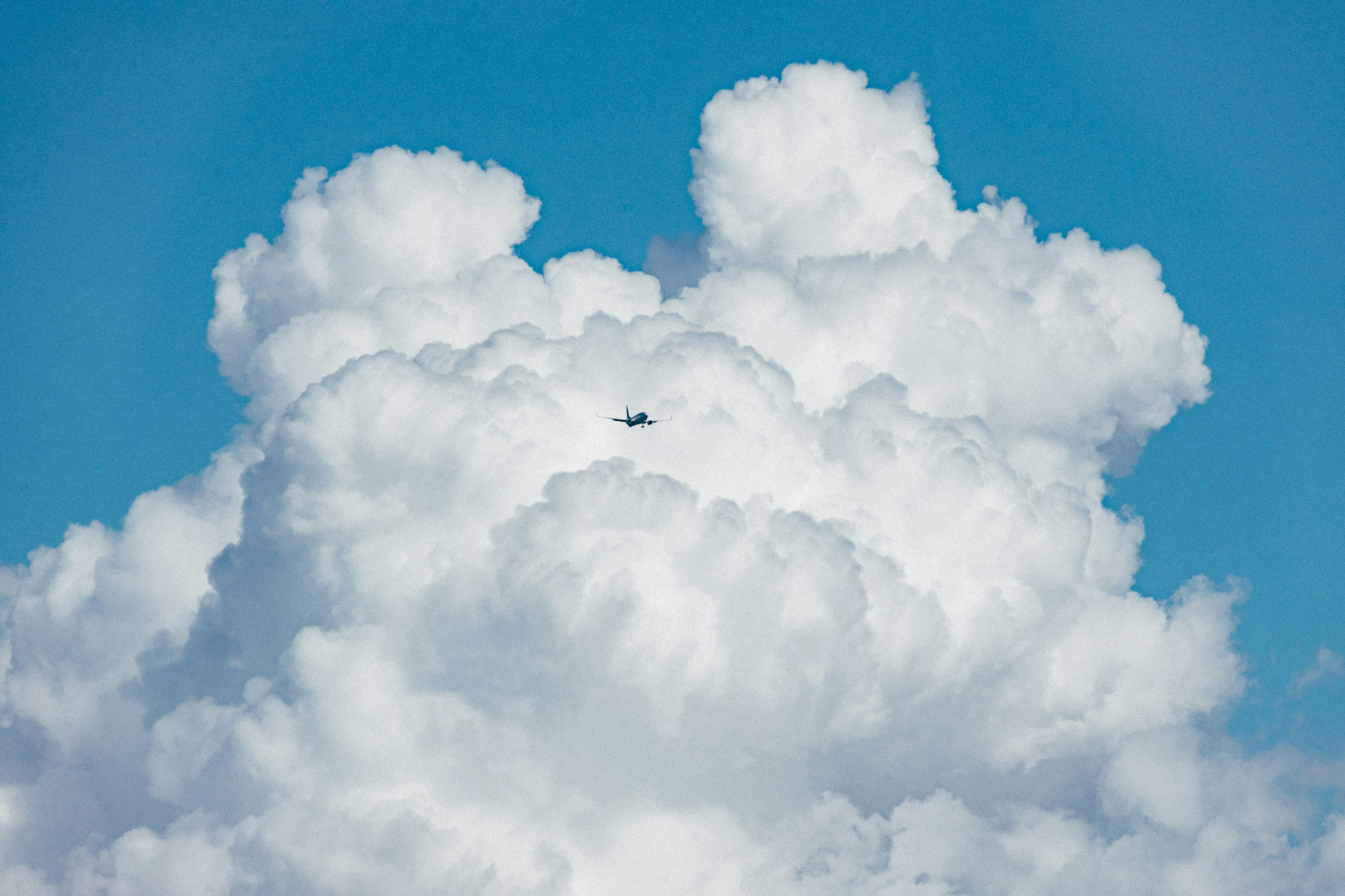 Photo by tsuyoshikozu