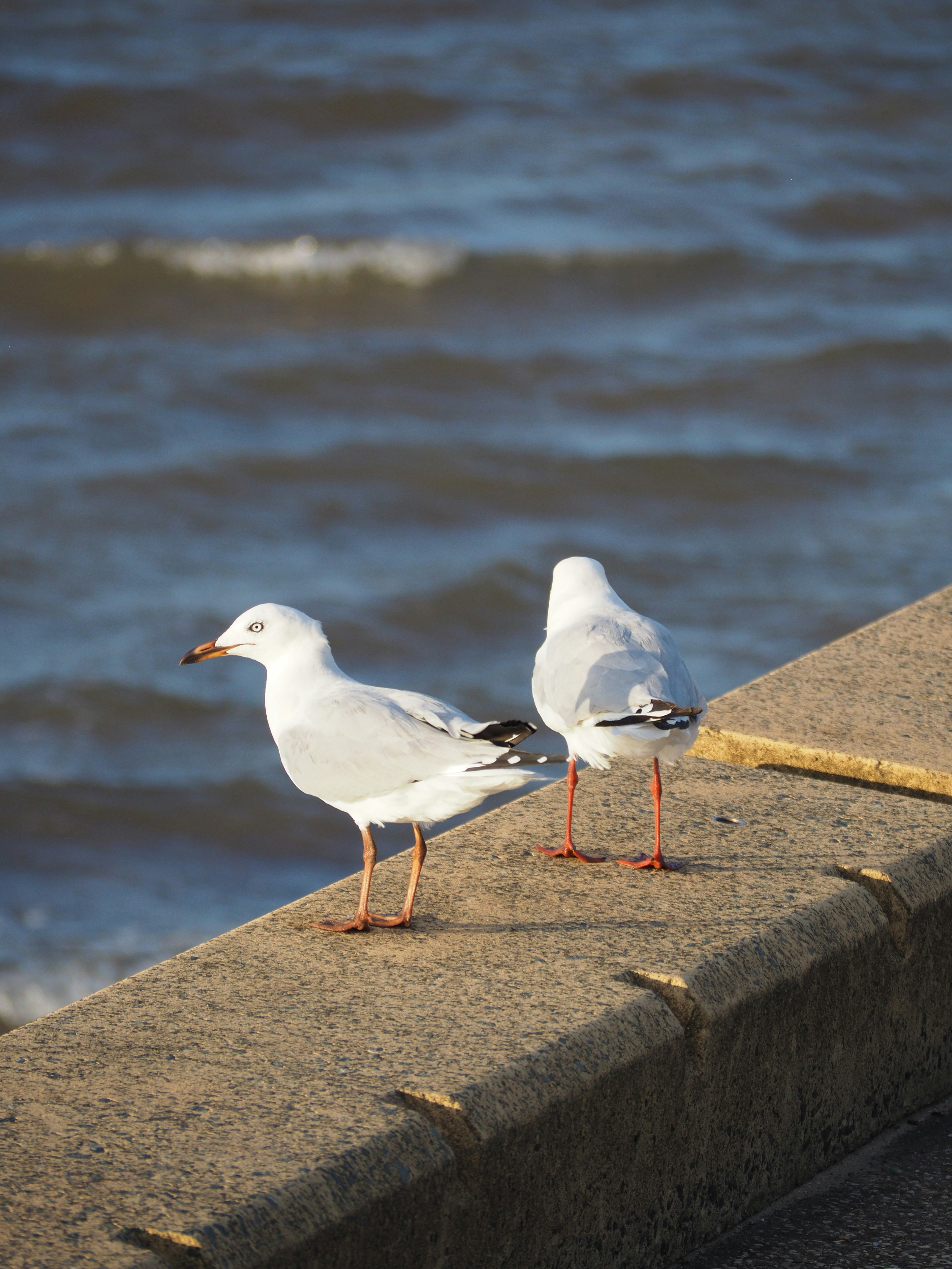 Photo by simar_thind