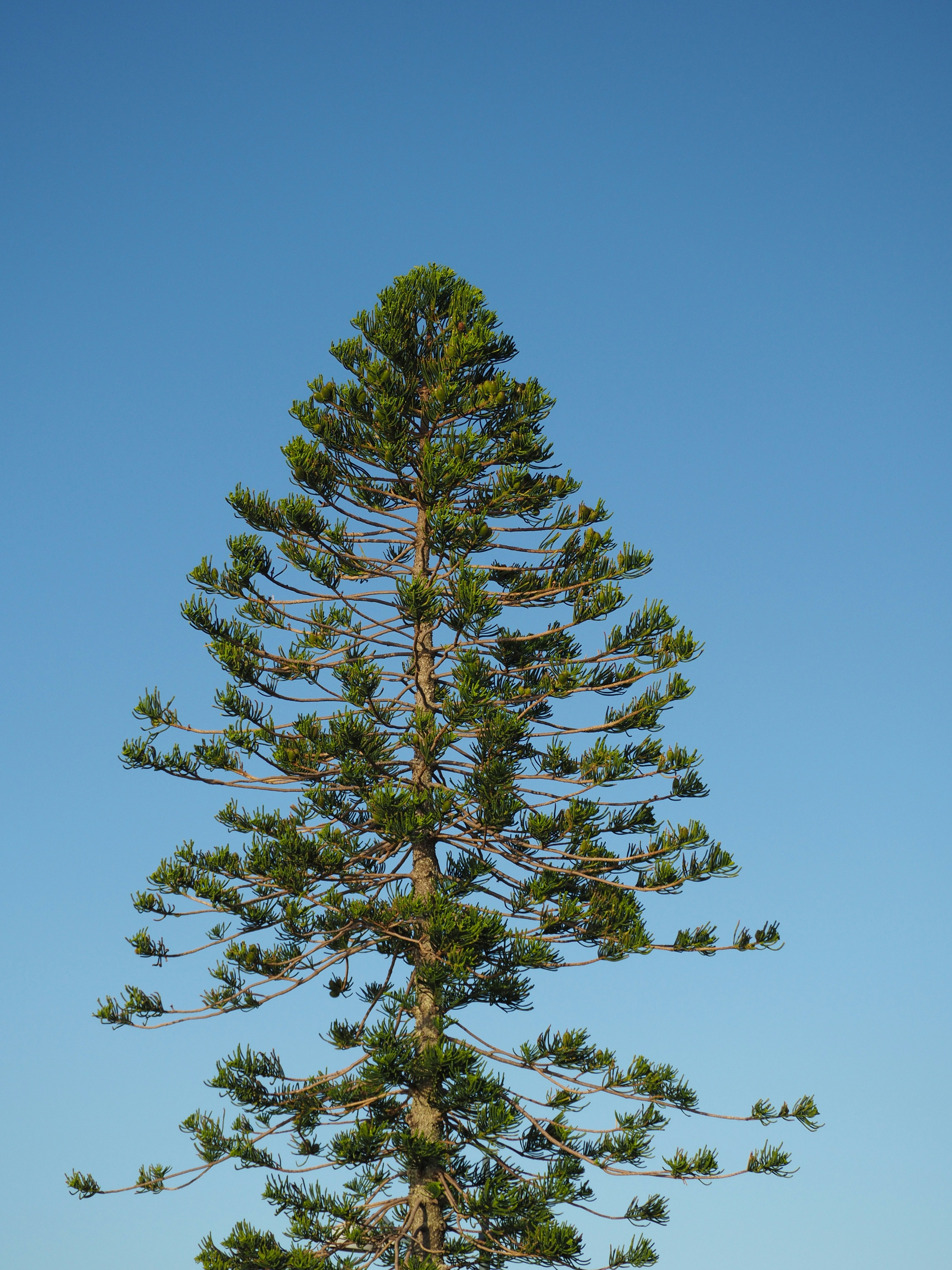 Photo by simar_thind