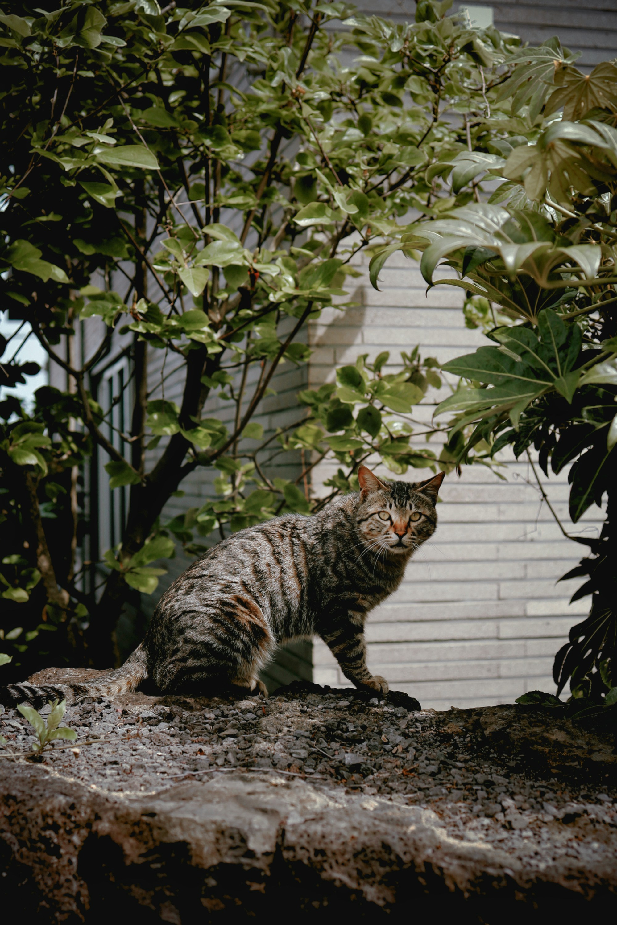 Photo by evgeniya_pron