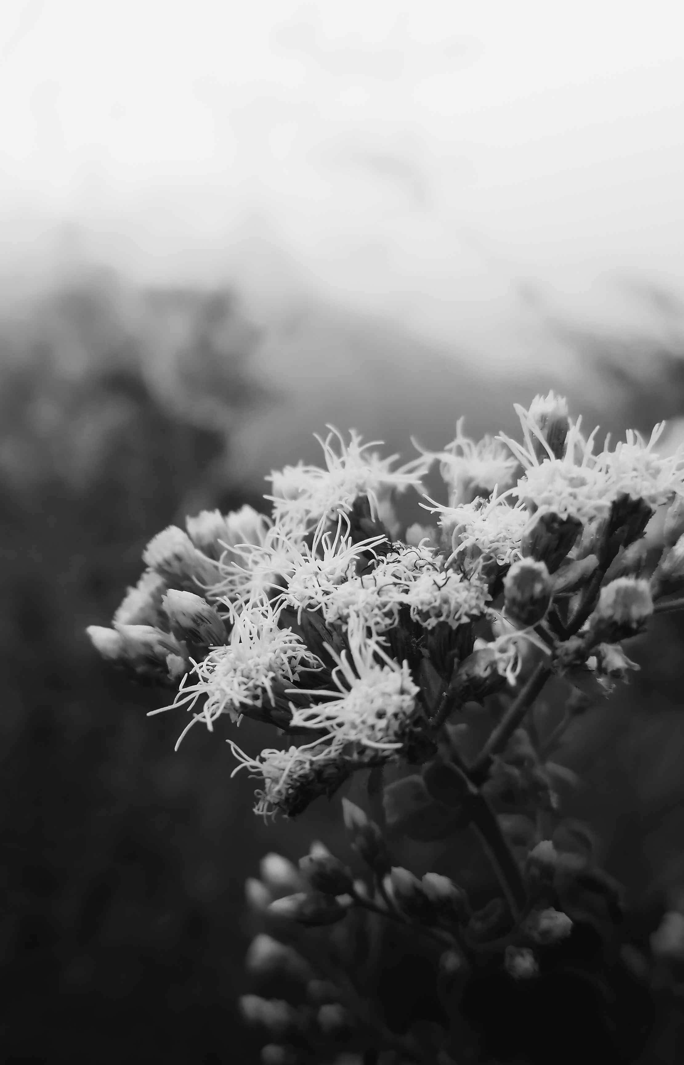 Photo by chaitanyasalunke_123