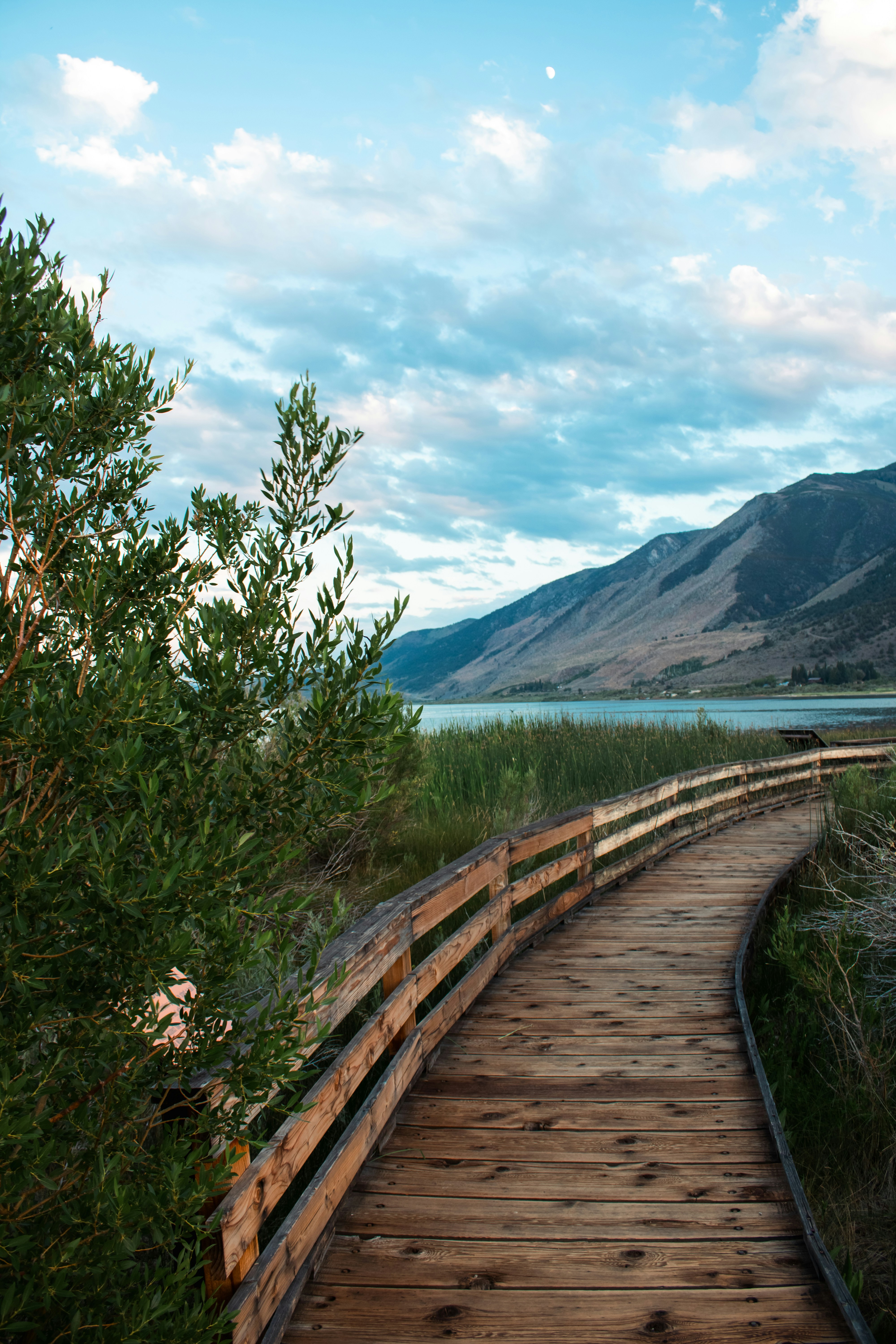 A wooden path leading to a lake with mountains in the background photo ...