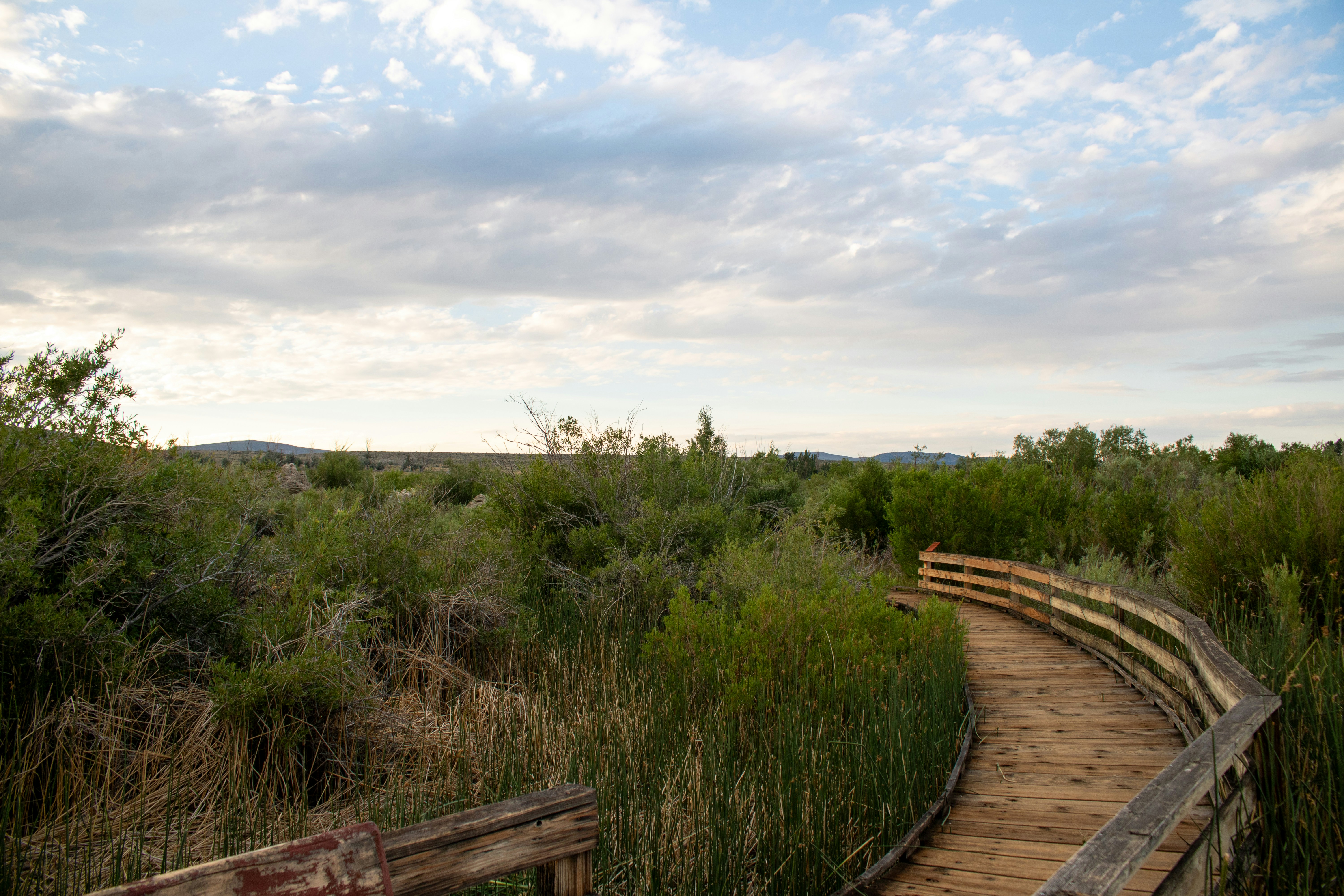 The Mono Lake Boardwalk offers visitors a unique way to explore the natural beauty of Mono Lake in California’s Eastern Sierra. This wooden pathway winds through marshlands and sagebrush, leading to the lake’s edge while protecting the fragile ecosystem. Along the way, visitors can observe breathtaking views of the ancient lake, its striking tufa formations, and abundant birdlife. The boardwalk is accessible to all and provides an educational experience with interpretive signs detailing the lake’s history, ecology, and importance as a migratory bird habitat.