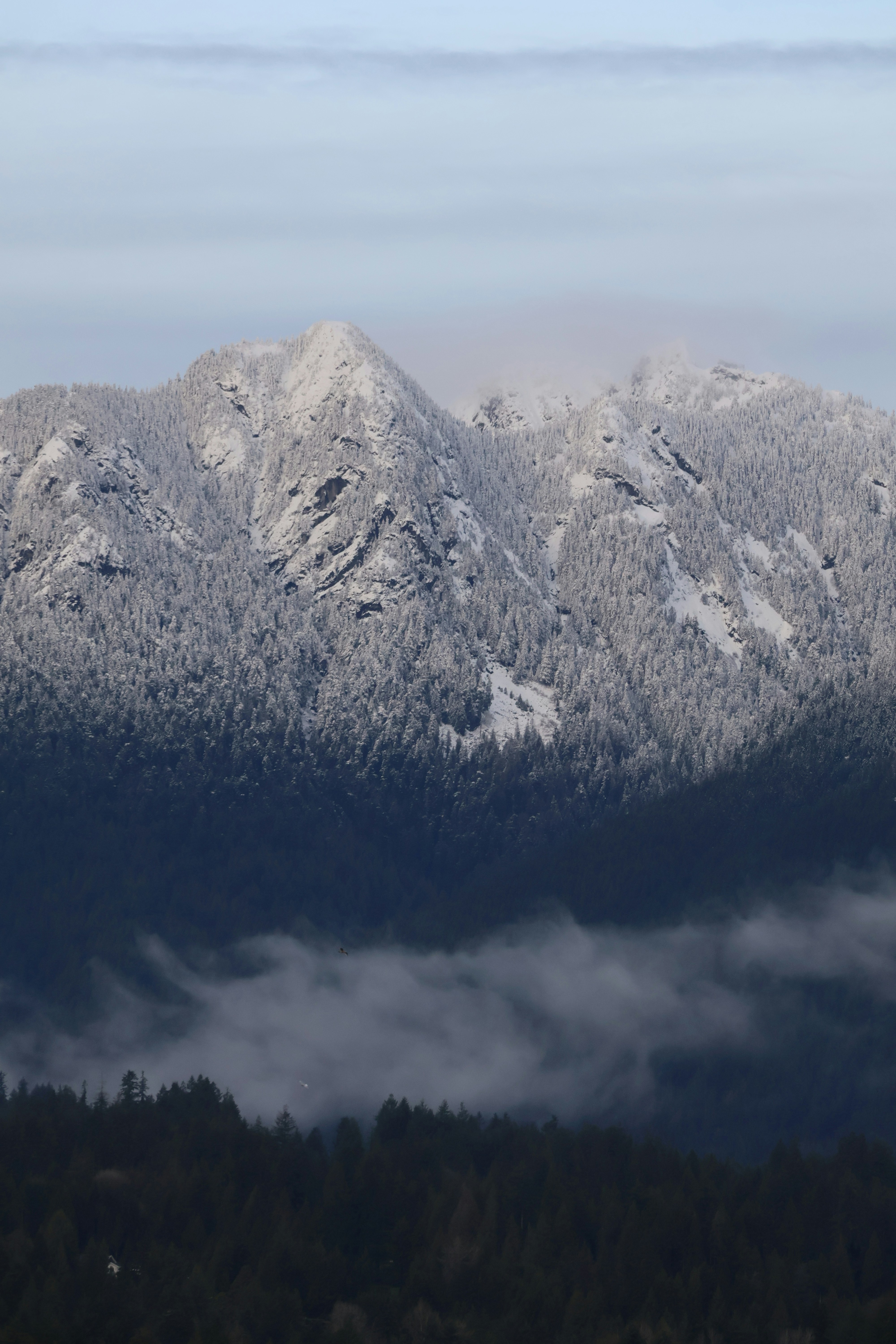 A view of a mountain range covered in snow